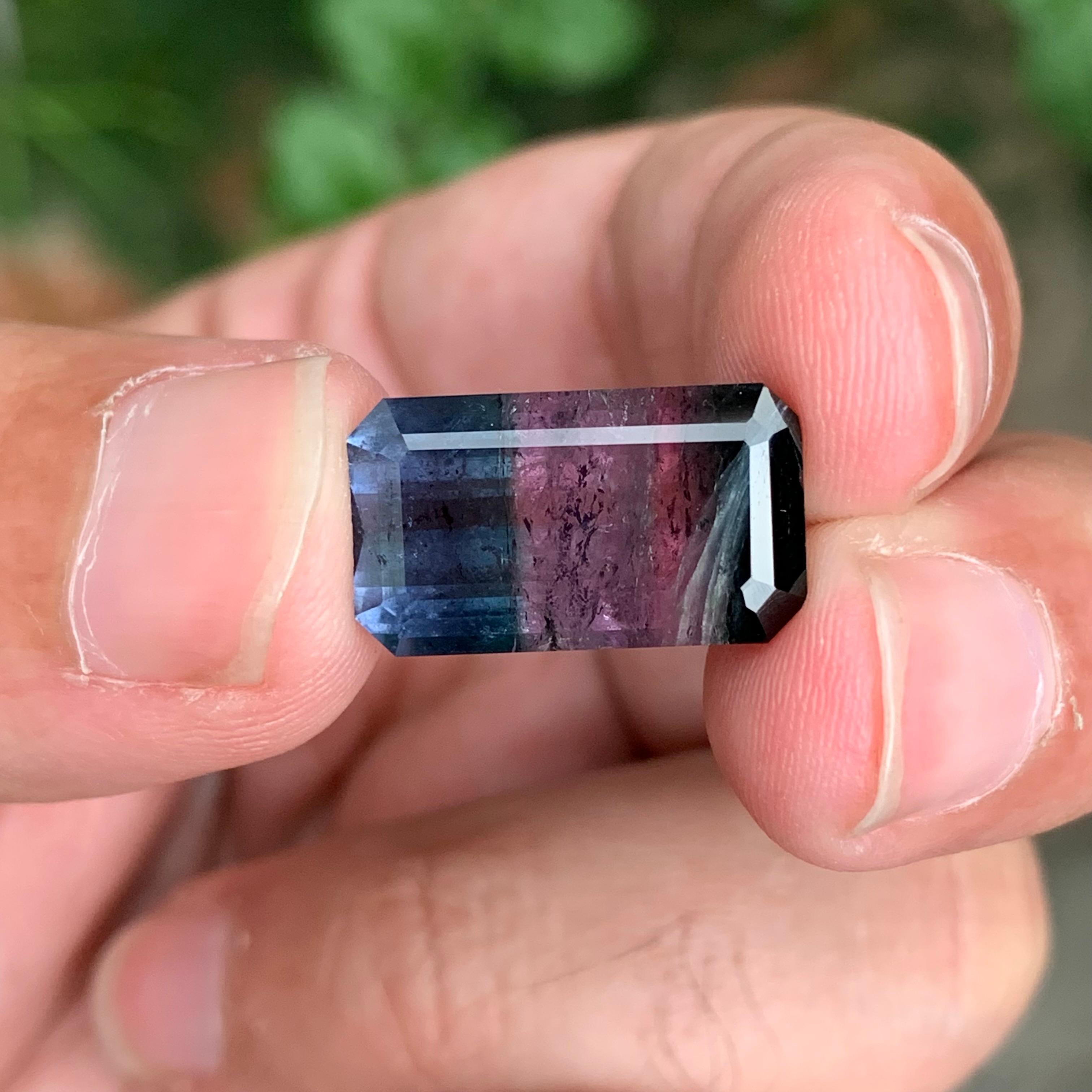 11.30 Carat Natural Loose Tri-Colour Tourmaline Emerald Shape Gemstone For Sale 4