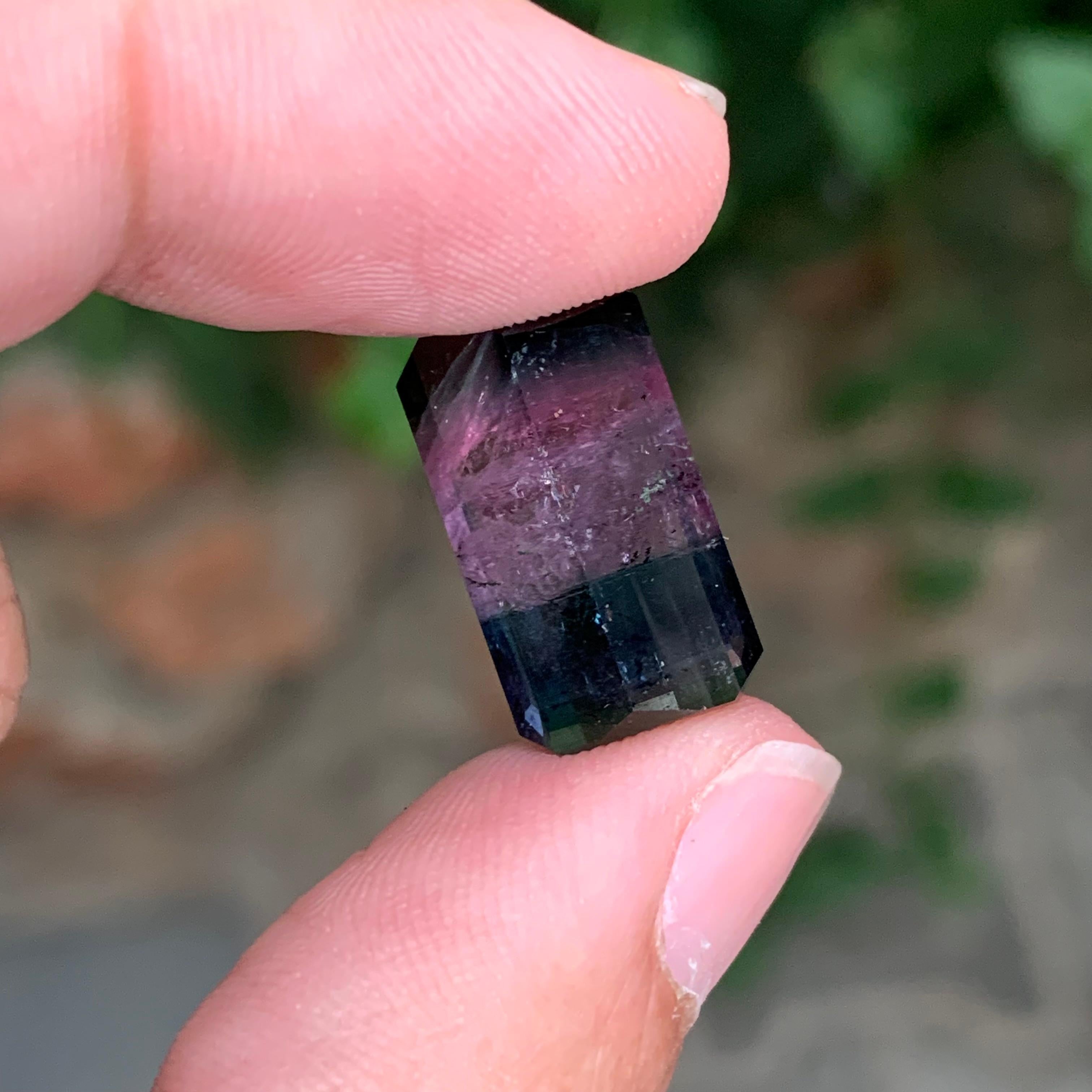 Pierre précieuse naturelle non sertie, tourmaline de forme émeraude de 11,30 carats en vente 5