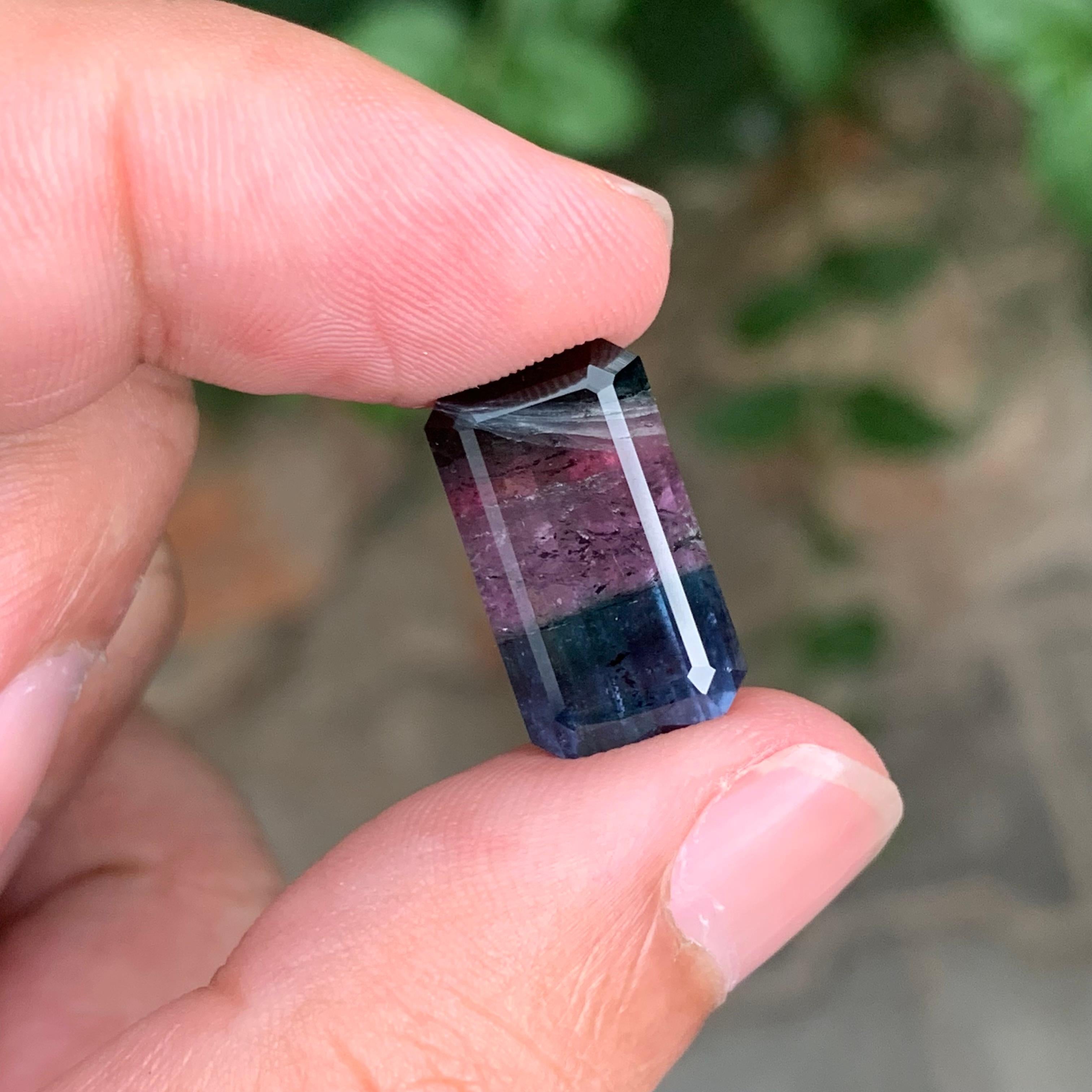 11.30 Carat Natural Loose Tri-Colour Tourmaline Emerald Shape Gemstone For Sale 3