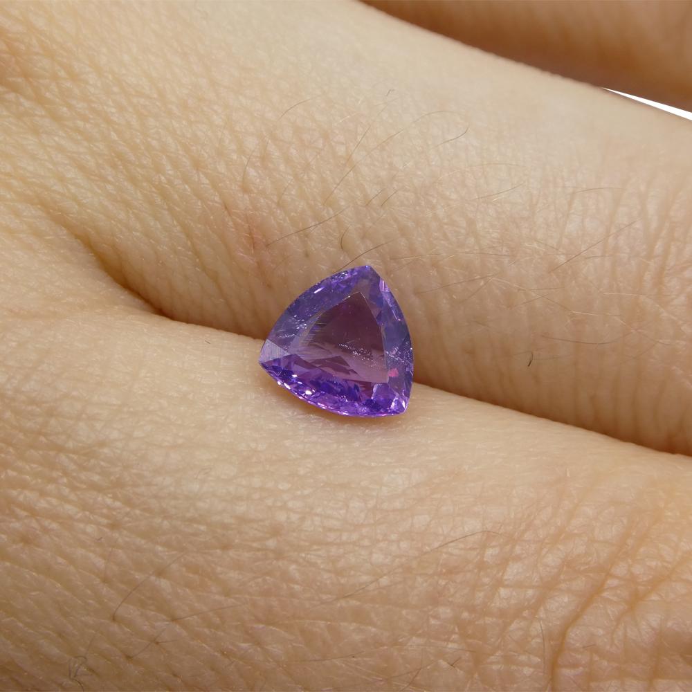1.13ct Trillion Purple Sapphire from East Africa, Unheated For Sale 5
