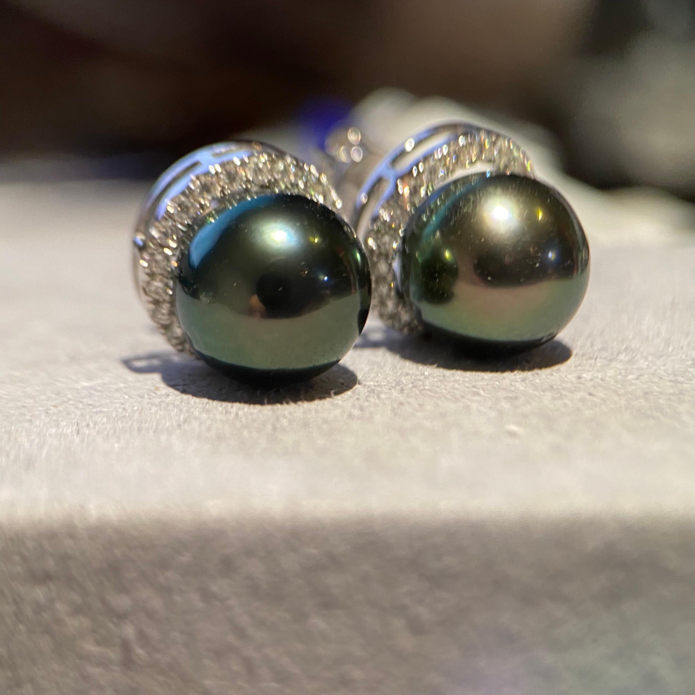 green tahitian pearl earrings