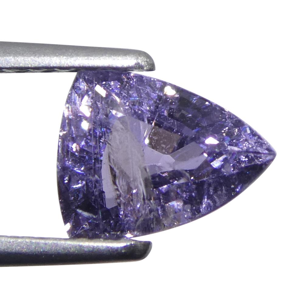 1.14ct Trillion Purple Sapphire from Tanzania, Unheated For Sale 7
