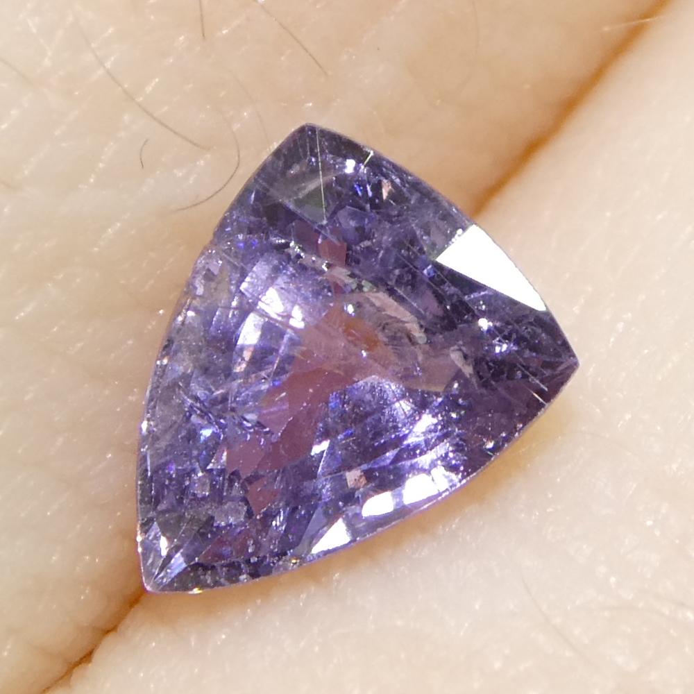 1.14ct Trillion Purple Sapphire from Tanzania, Unheated For Sale 8