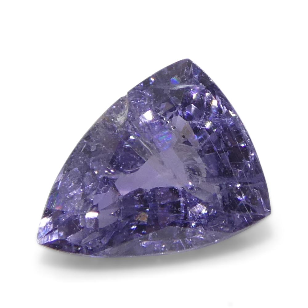 1.14ct Trillion Purple Sapphire from Tanzania, Unheated For Sale 2