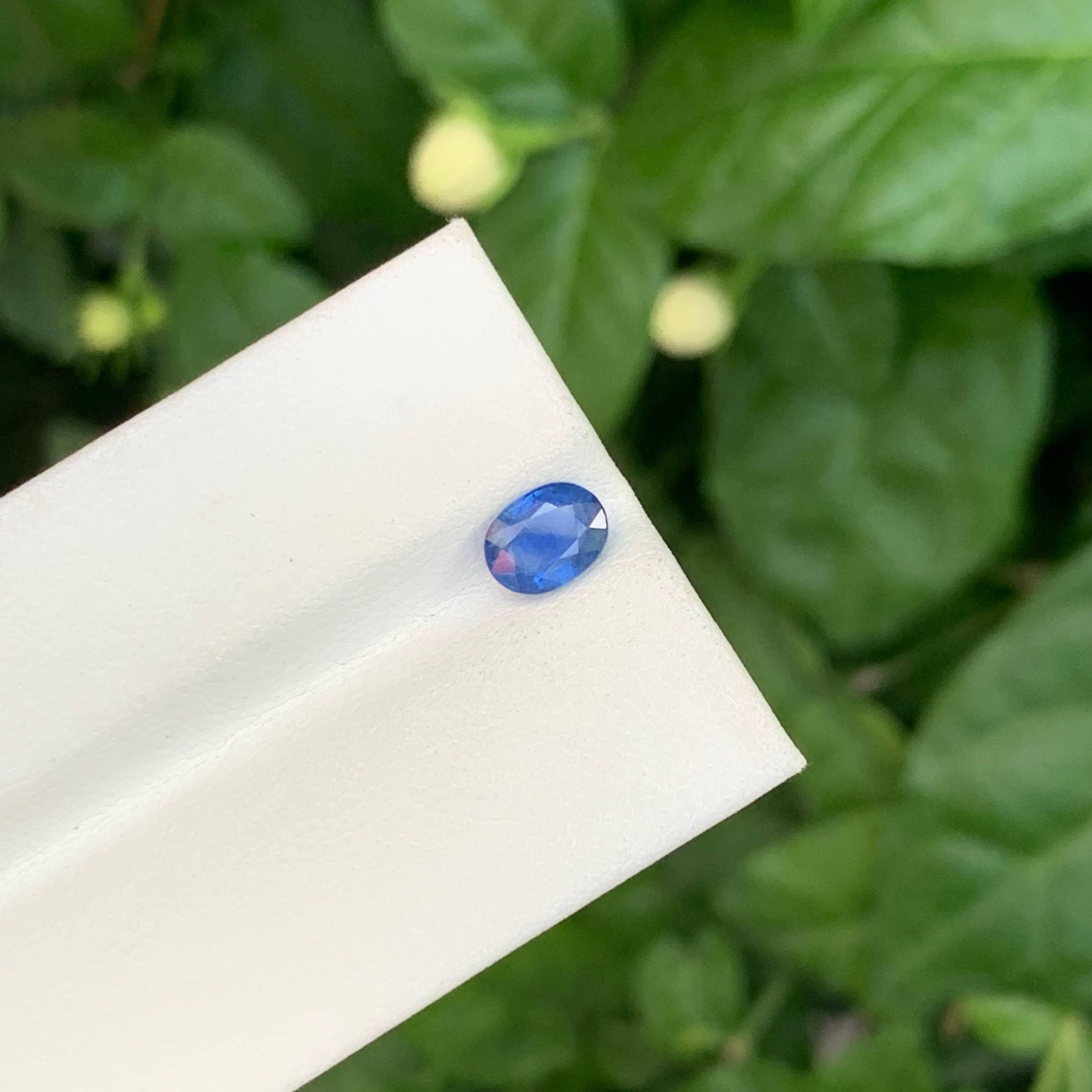 1,15 Karat Natürlicher loser Opaleffekt Blauer Saphir im Ovalschliff Sri Lankanischer Edelstein im Angebot 1