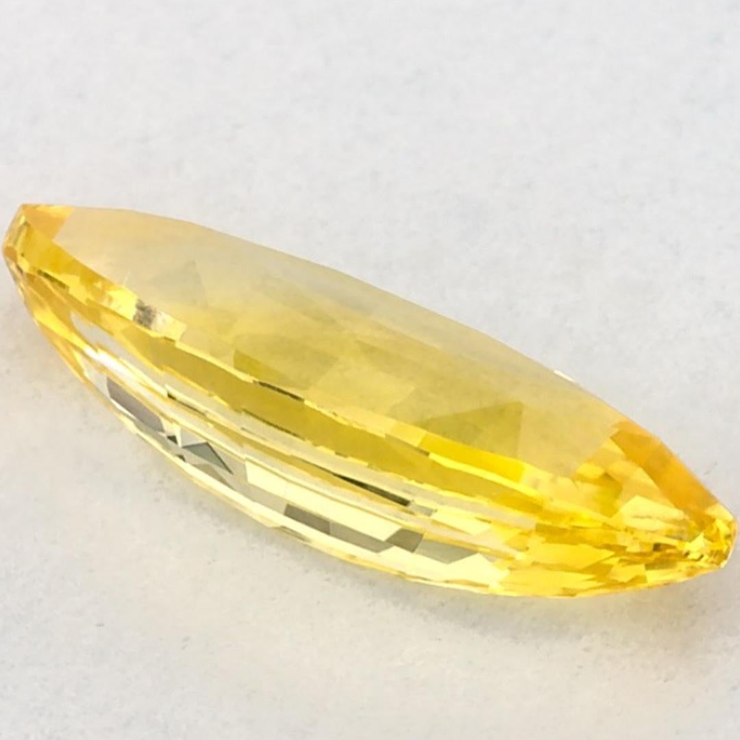 1.15 Ct Yellow Sapphire Marquise Loose Gemstone en vente 1