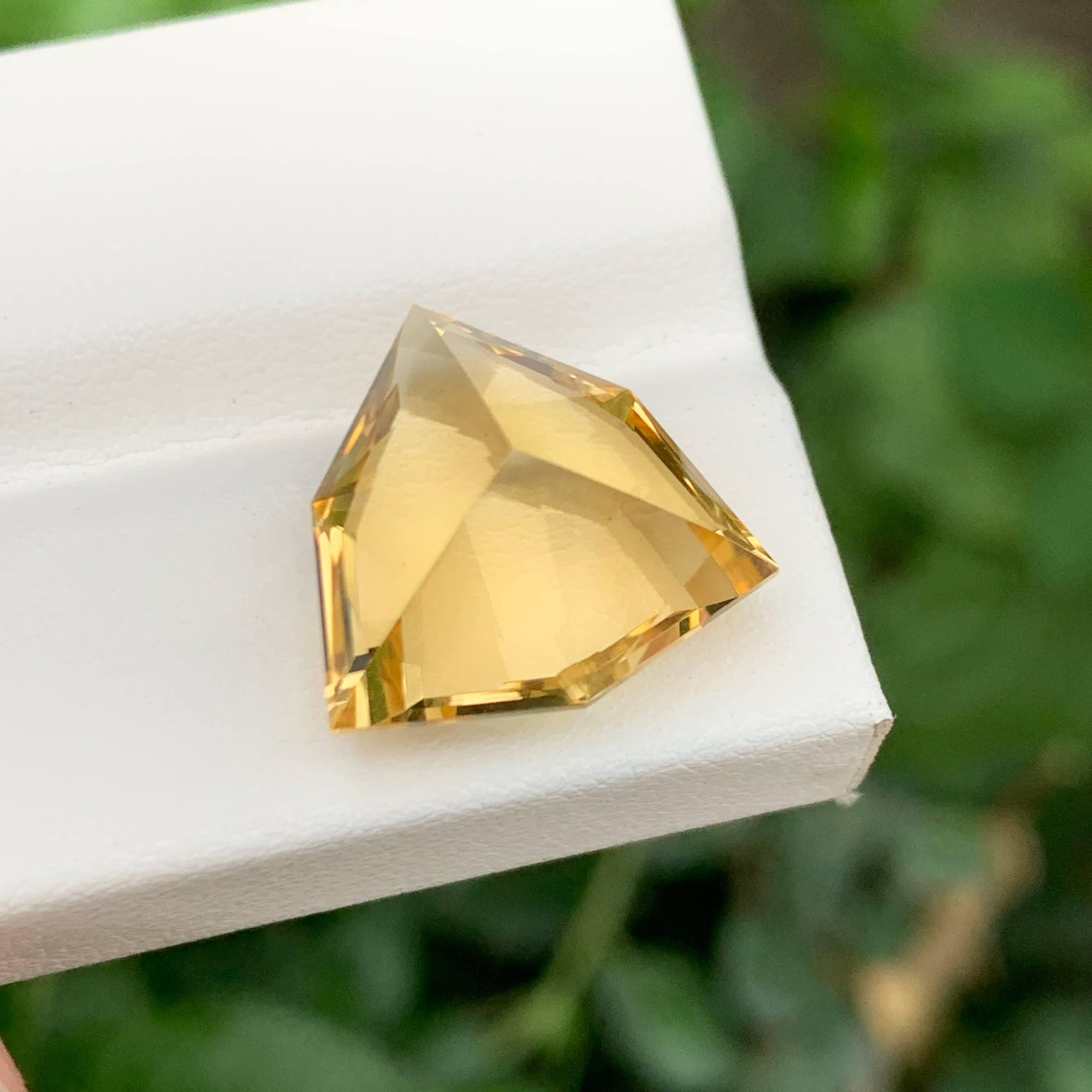 11,50 Karat Natürlicher Gelber Citrin im Trilliant-Schliff, brasilianischer Edelstein, lose, facettiert (Moderne) im Angebot
