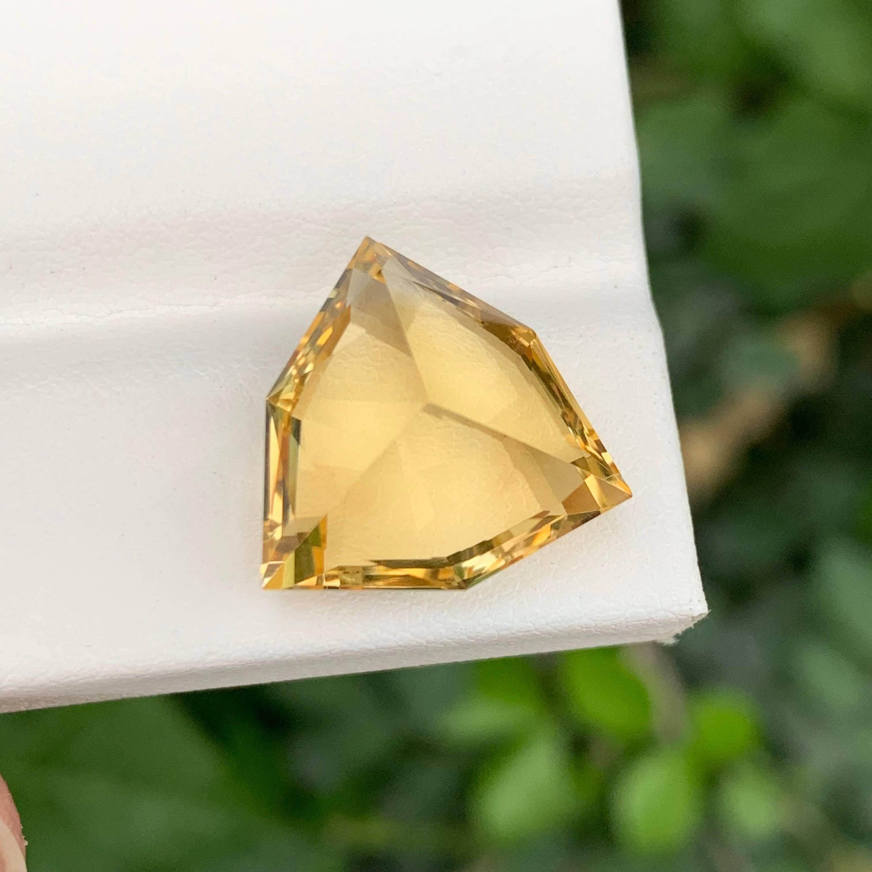 11,50 Karat Natürlicher Gelber Citrin im Trilliant-Schliff, brasilianischer Edelstein, lose, facettiert (Trillionschliff) im Angebot