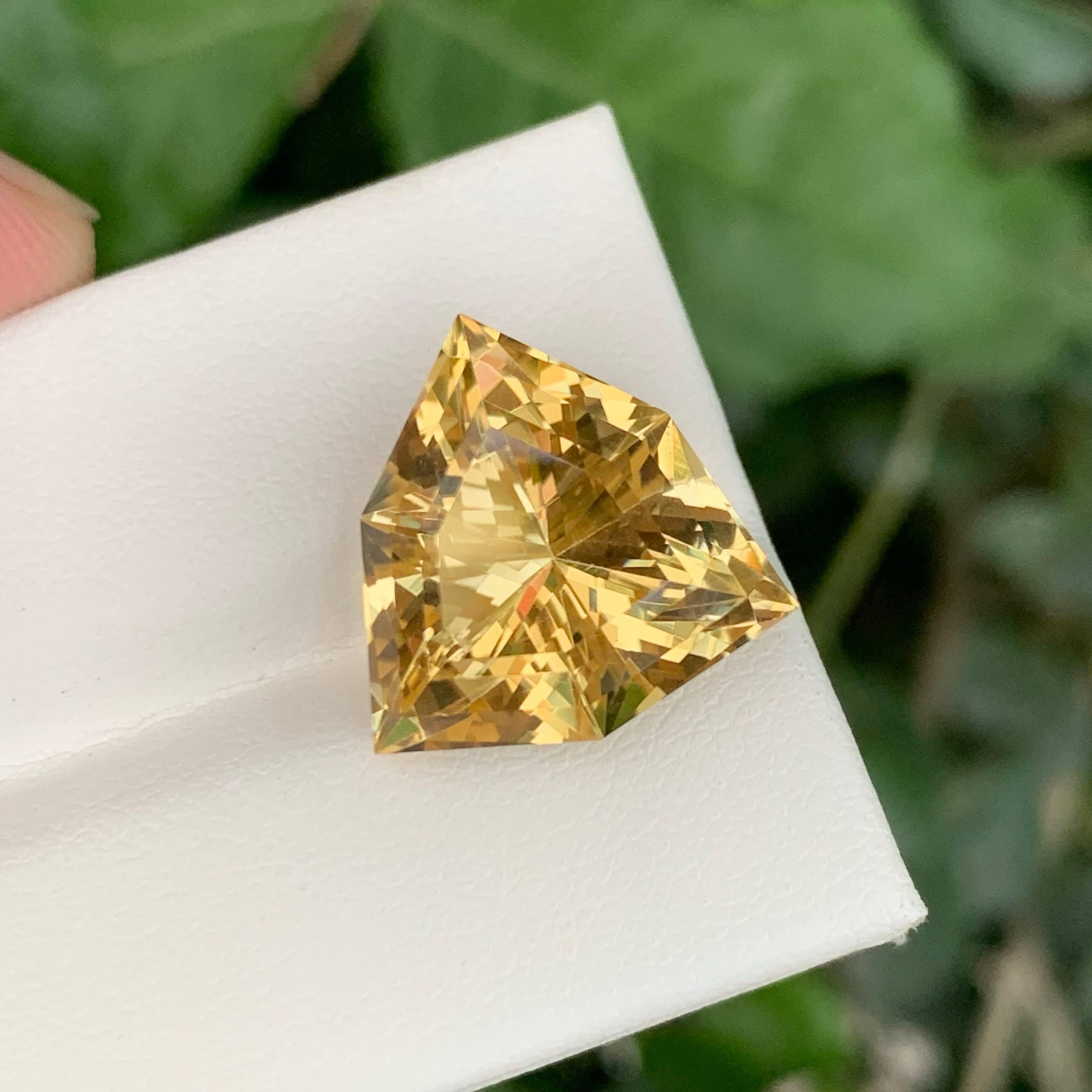 11,50 Karat Natürlicher Gelber Citrin im Trilliant-Schliff, brasilianischer Edelstein, lose, facettiert im Angebot 1