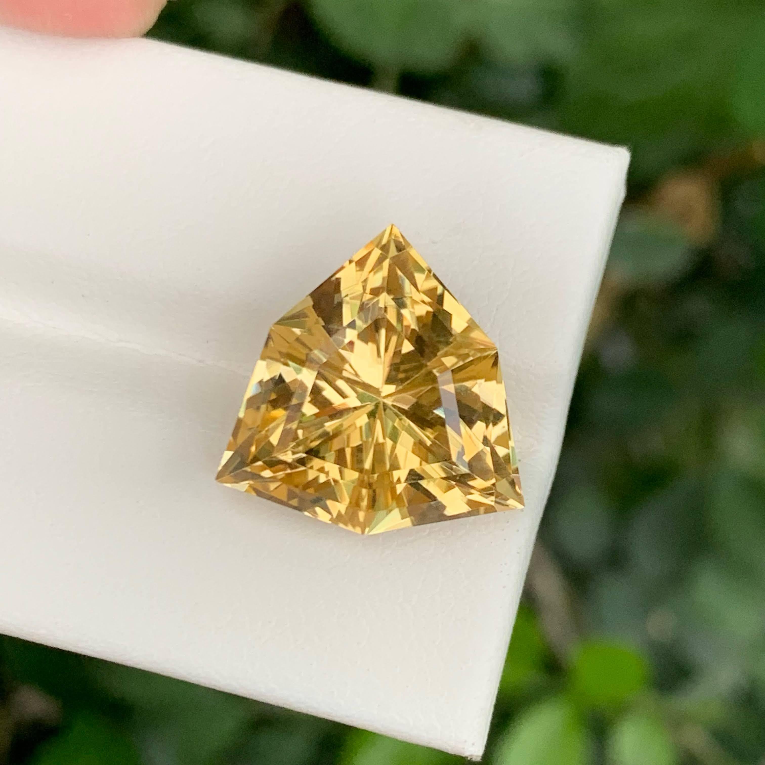 11,50 Karat Natürlicher Gelber Citrin im Trilliant-Schliff, brasilianischer Edelstein, lose, facettiert im Angebot 2