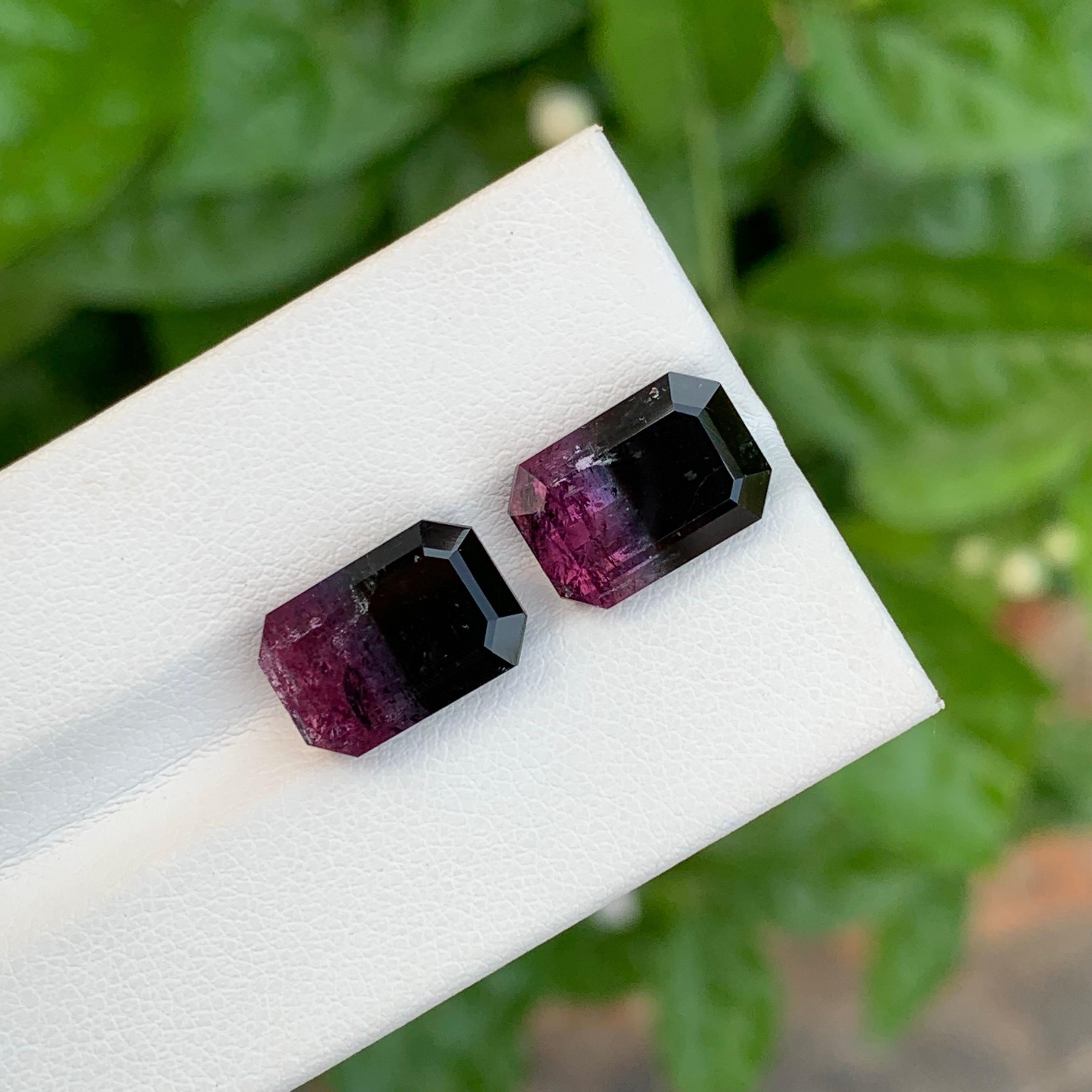 Pierre de naissance d'octobre 11,60 carats, tourmaline naturelle libre bicolore exquise en vente 1