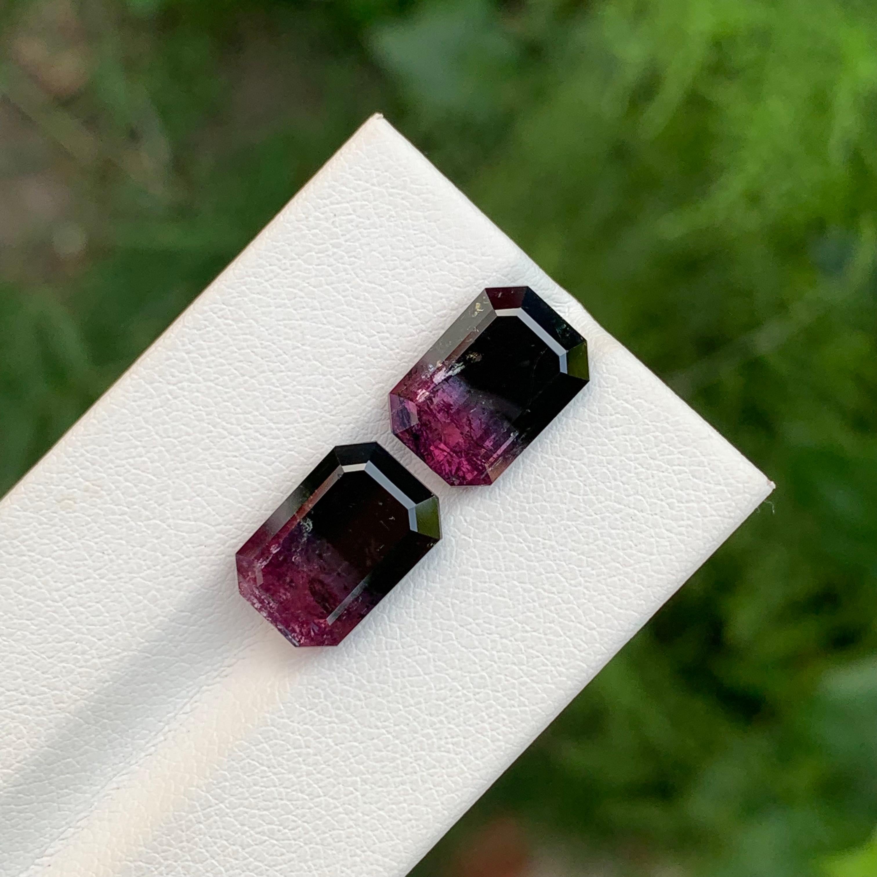 Pierre de naissance d'octobre 11,60 carats, tourmaline naturelle libre bicolore exquise en vente 2