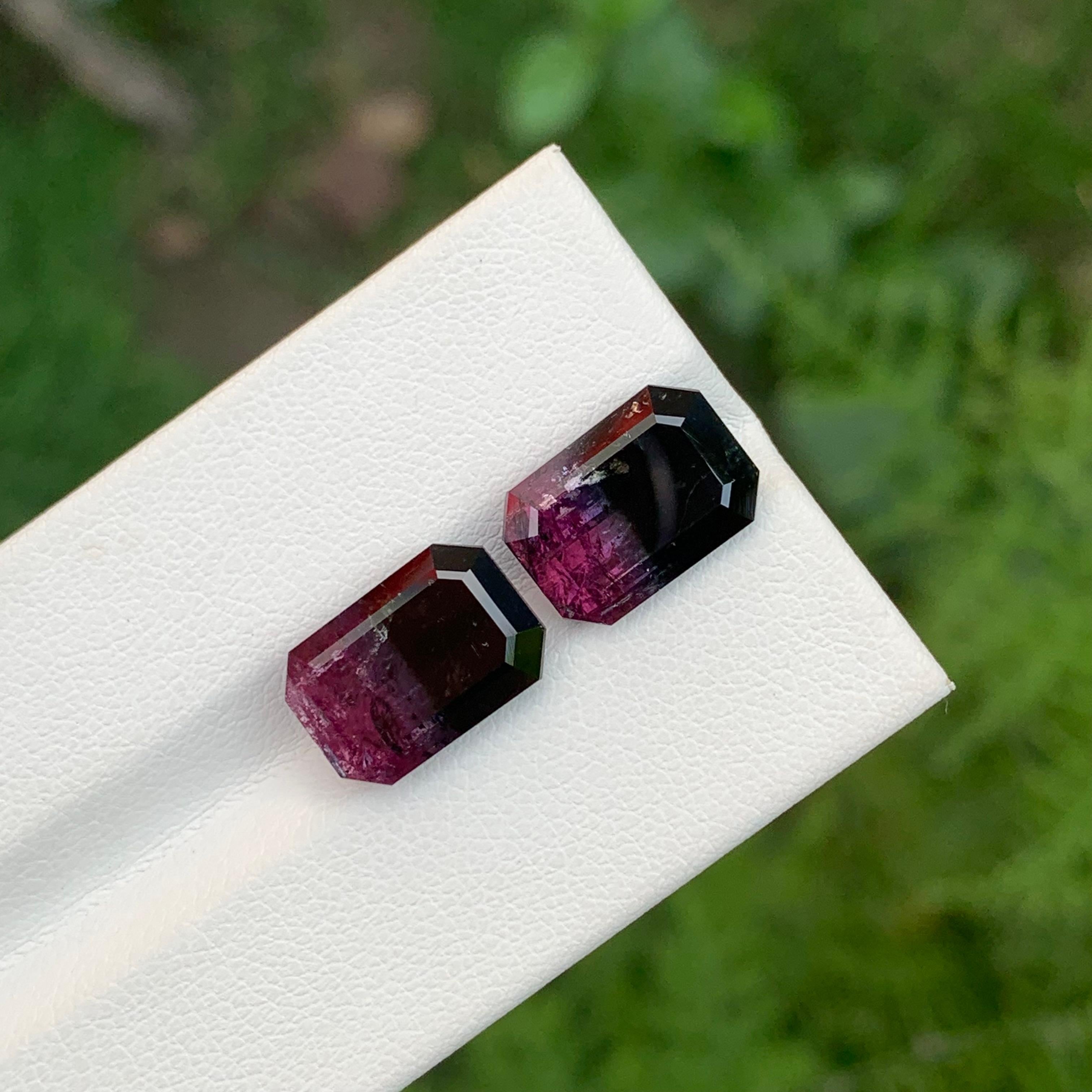 Tourmaline Bi Colour en vrac 

Poids : 11,60 carats
Tailles : 5,55 et 6,00 carats 
Dimension : 12,2 x 8,5 x 5,8 Mm Et 
                    12.5 x 8.5 x 6.2 Mm 
Couleur : noir et rose 
Origine : Afghanistan
Certificat : Sur demande
Traitement :
