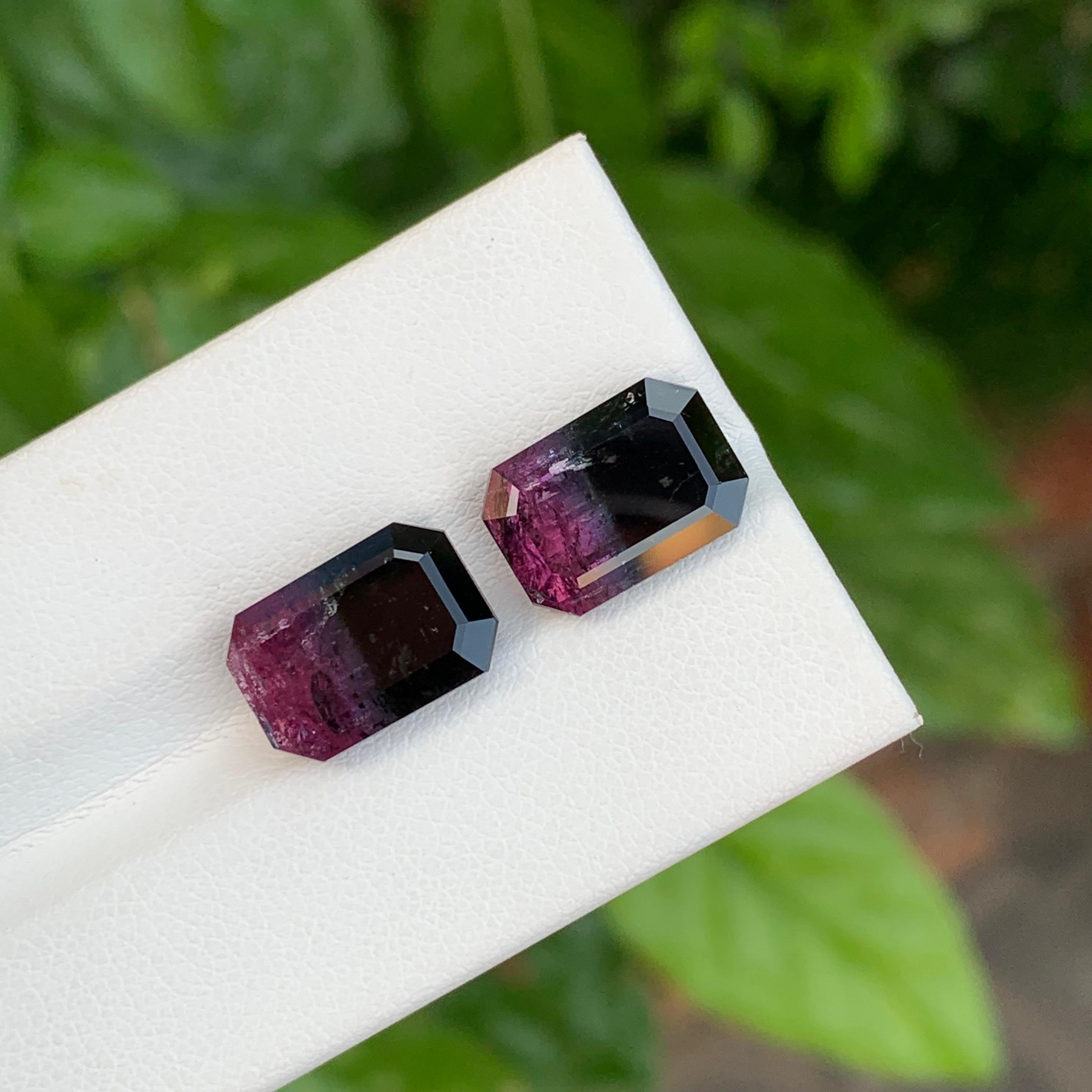 Pierre de naissance d'octobre 11,60 carats, tourmaline naturelle libre bicolore exquise Unisexe en vente