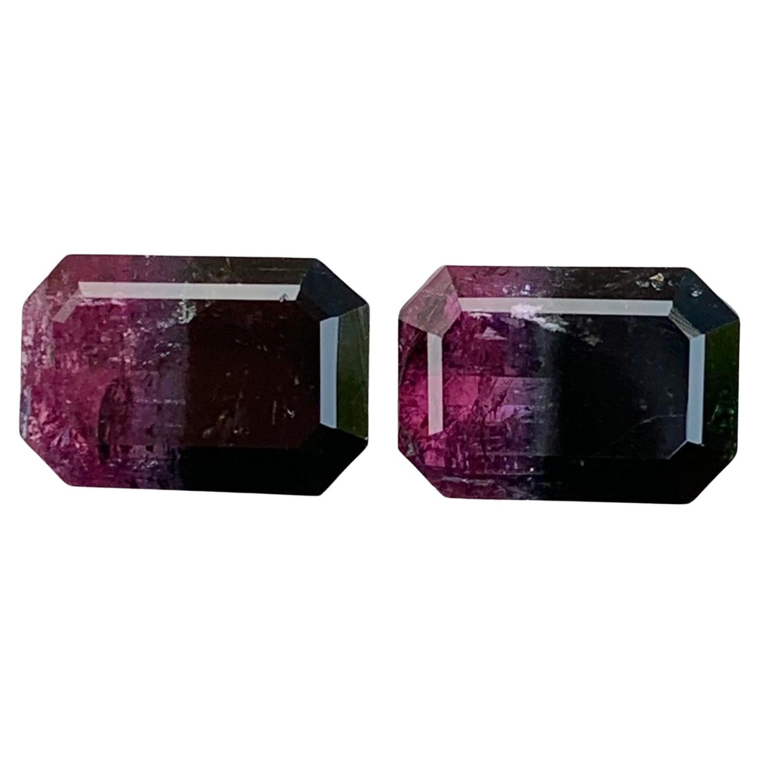 Pierre de naissance d'octobre 11,60 carats, tourmaline naturelle libre bicolore exquise