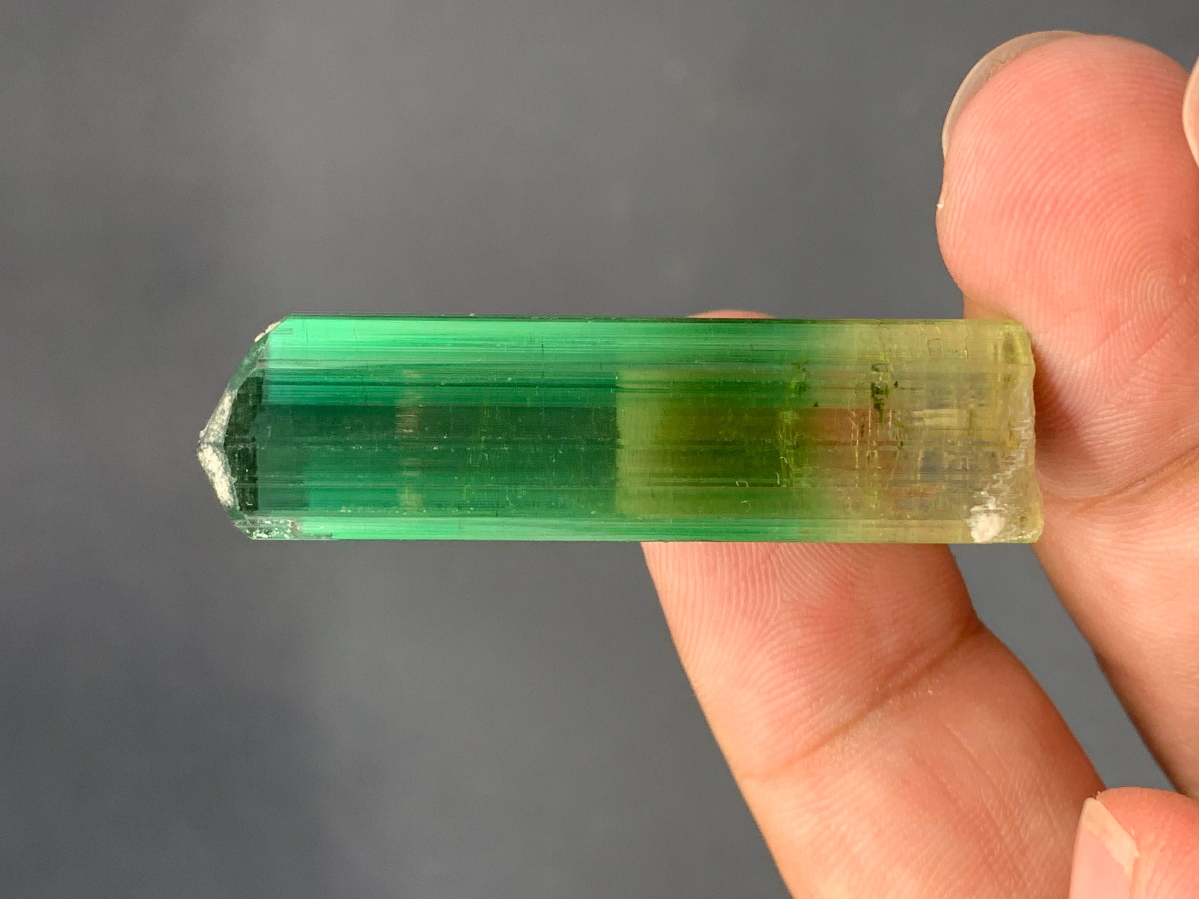 11,60 grammes de tourmaline rose verdâtre naturelle de Paprook Afghanistan en vente 4