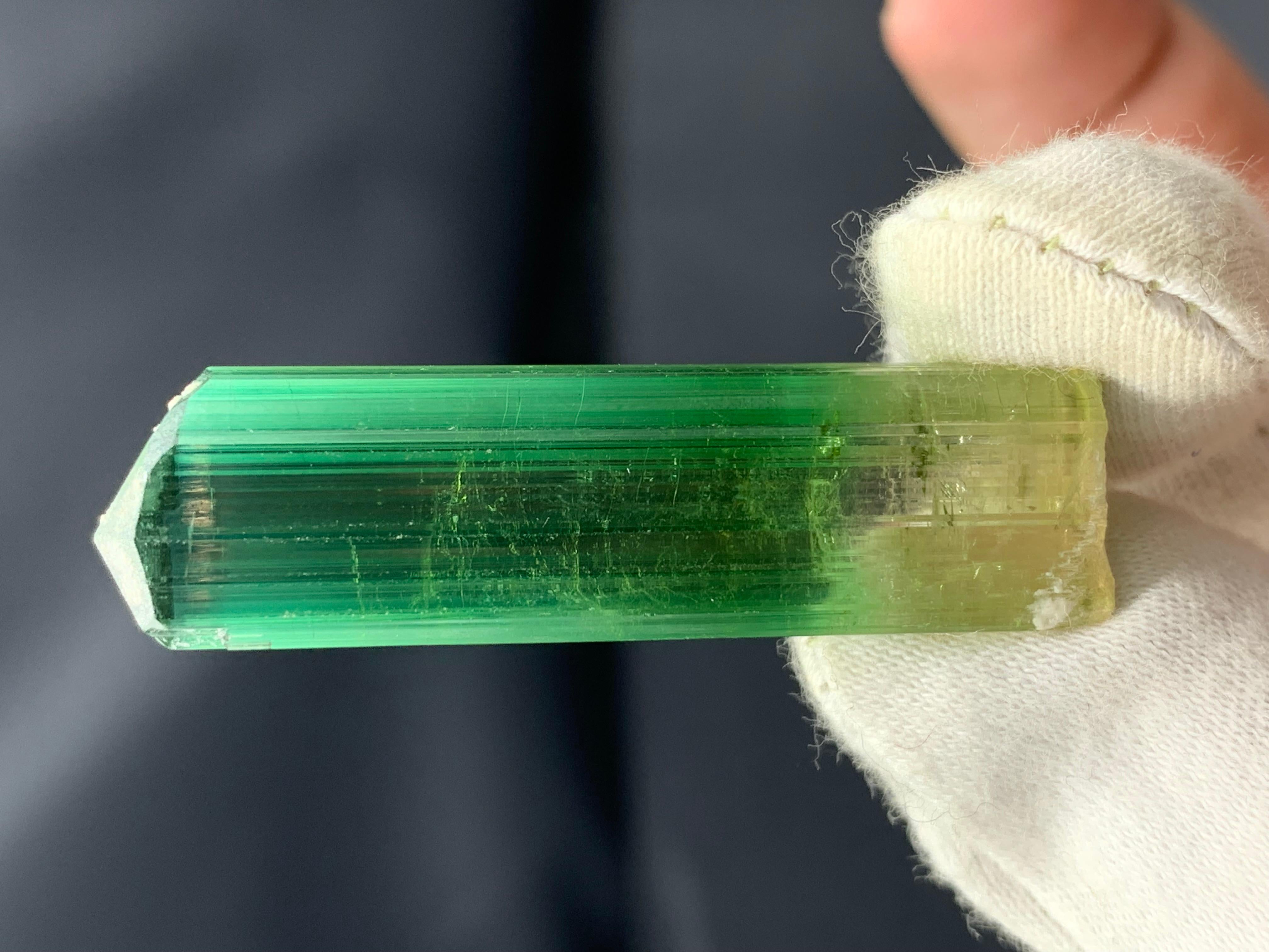 INFORMATIONS SUR LE PRODUIT :

Type de spécimen : Cristal de tourmaline naturelle rose verdâtre
Poids : 11,60 grammes
Dimensions : H : 4.4 x L : 1.2 x P : 1 Cm
Origine : Mine Paprook, Afghanistan 
Traitement : Aucun

DESCRIPTION : 

Voici un