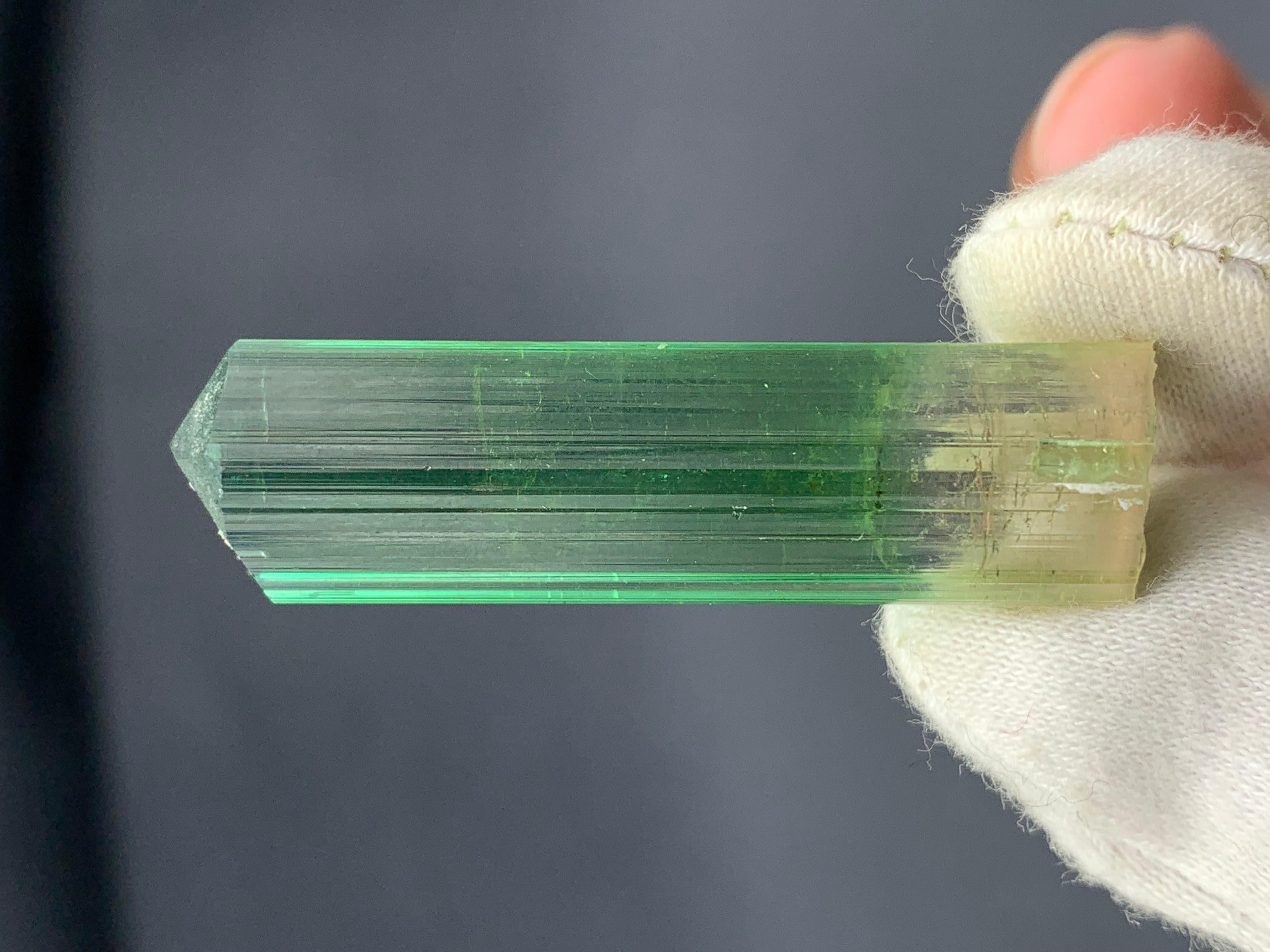 Style Adam 11,60 grammes de tourmaline rose verdâtre naturelle de Paprook Afghanistan en vente