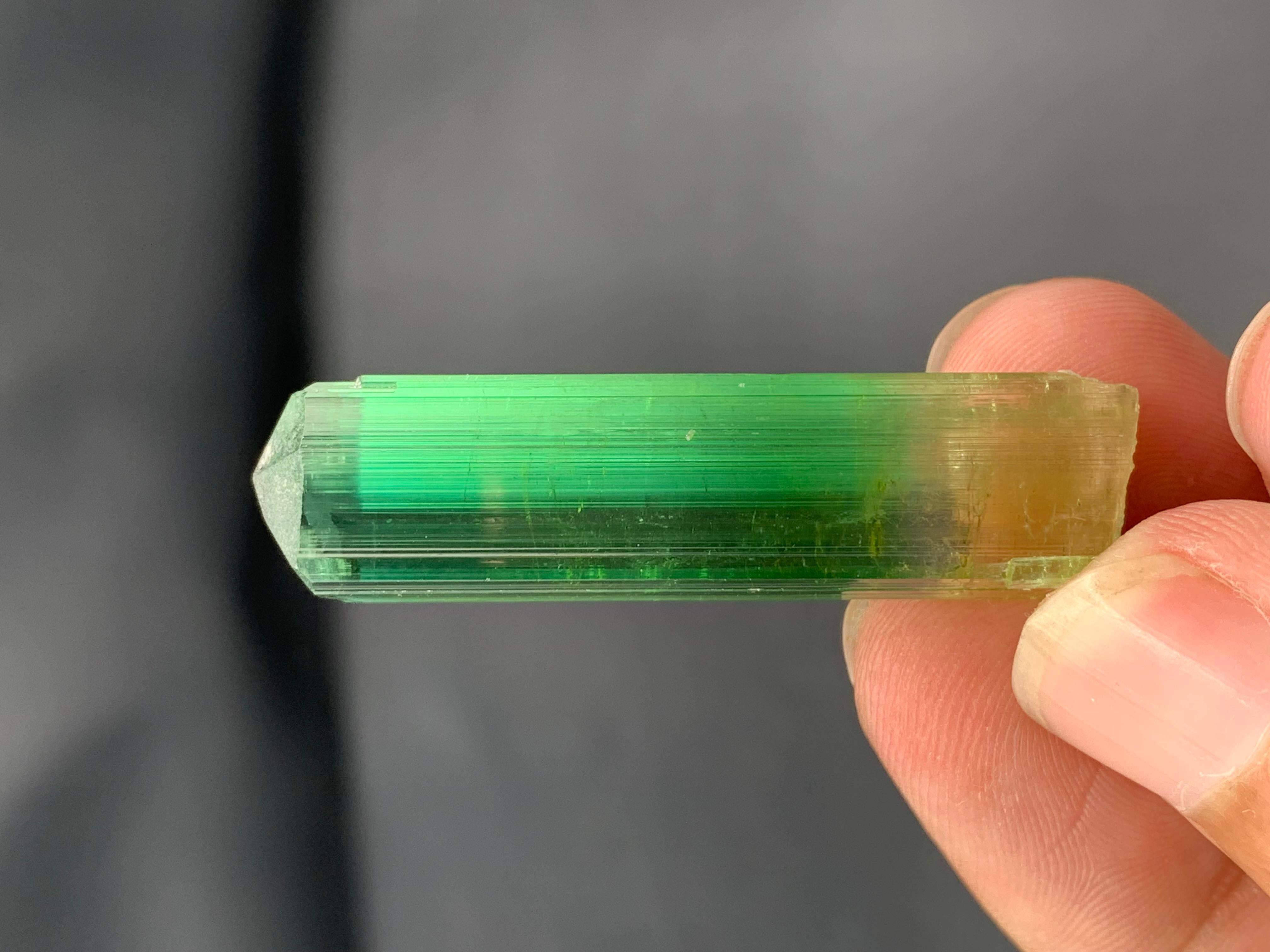 11,60 grammes de tourmaline rose verdâtre naturelle de Paprook Afghanistan Bon état - En vente à Peshawar, PK