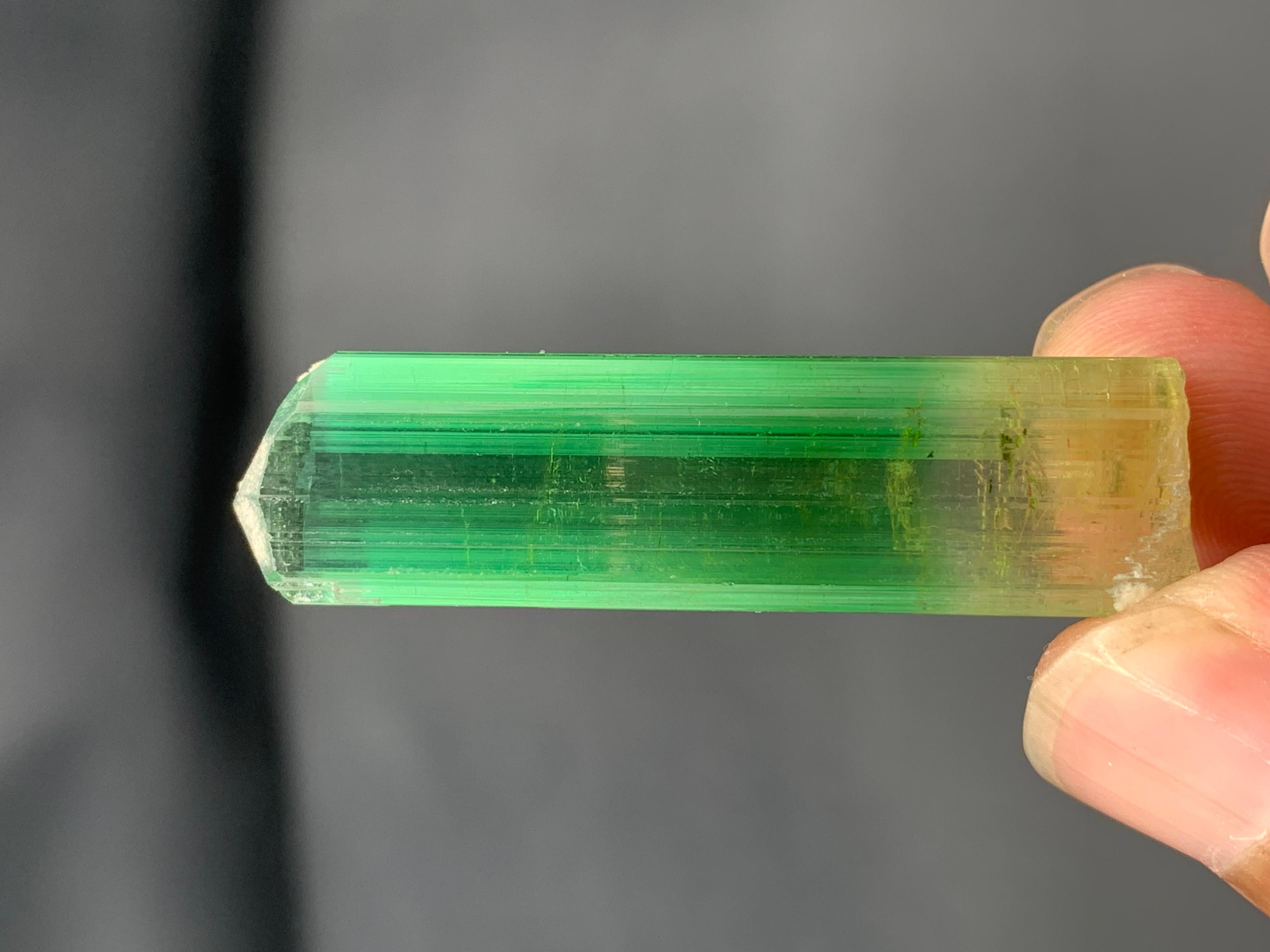 XXIe siècle et contemporain 11,60 grammes de tourmaline rose verdâtre naturelle de Paprook Afghanistan en vente