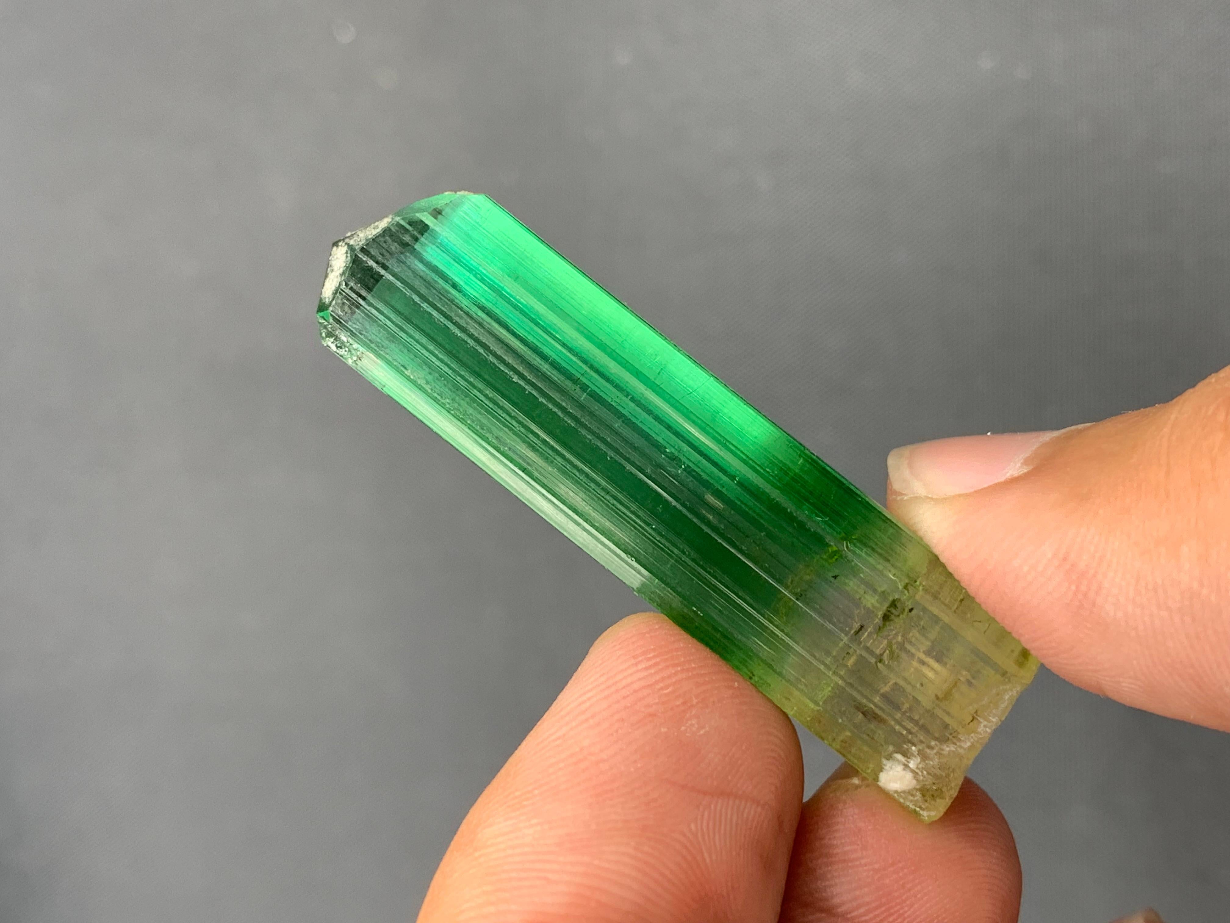 Tourmaline 11,60 grammes de tourmaline rose verdâtre naturelle de Paprook Afghanistan en vente
