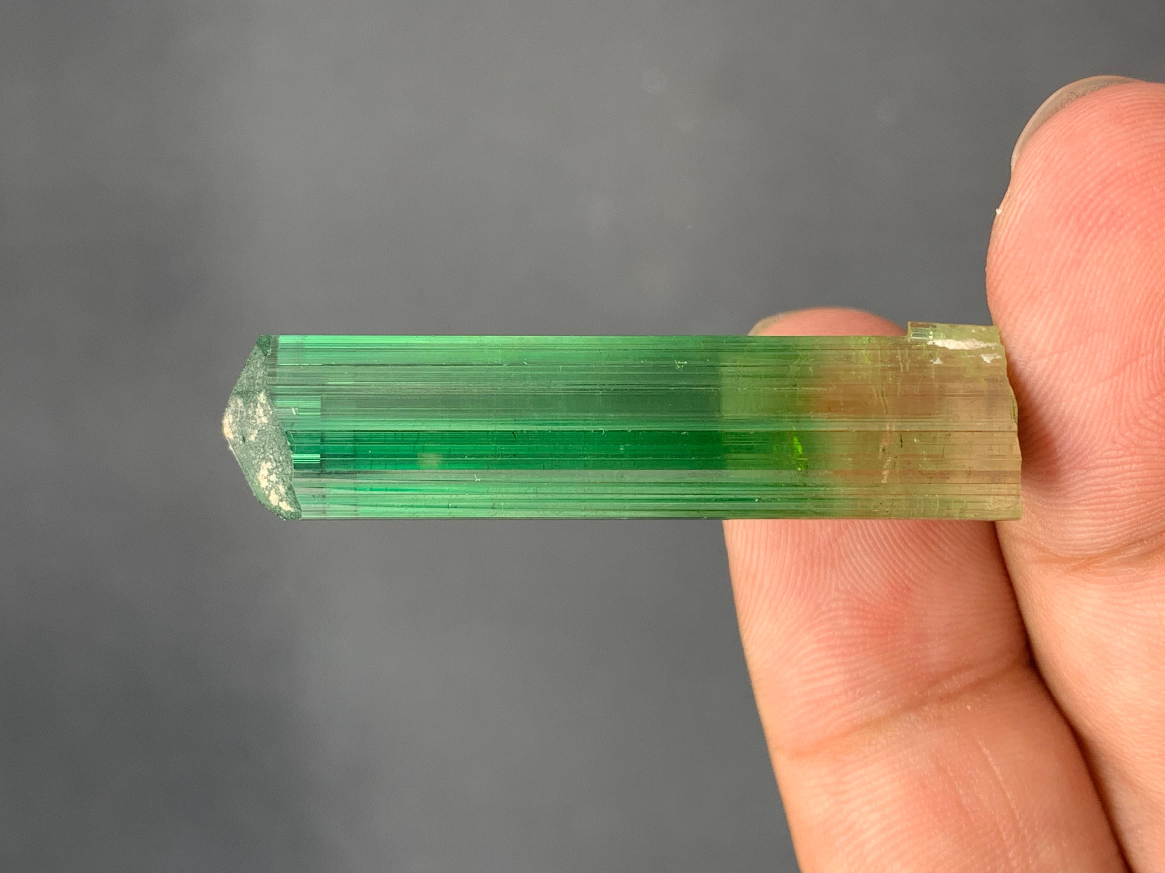 11,60 grammes de tourmaline rose verdâtre naturelle de Paprook Afghanistan en vente 1