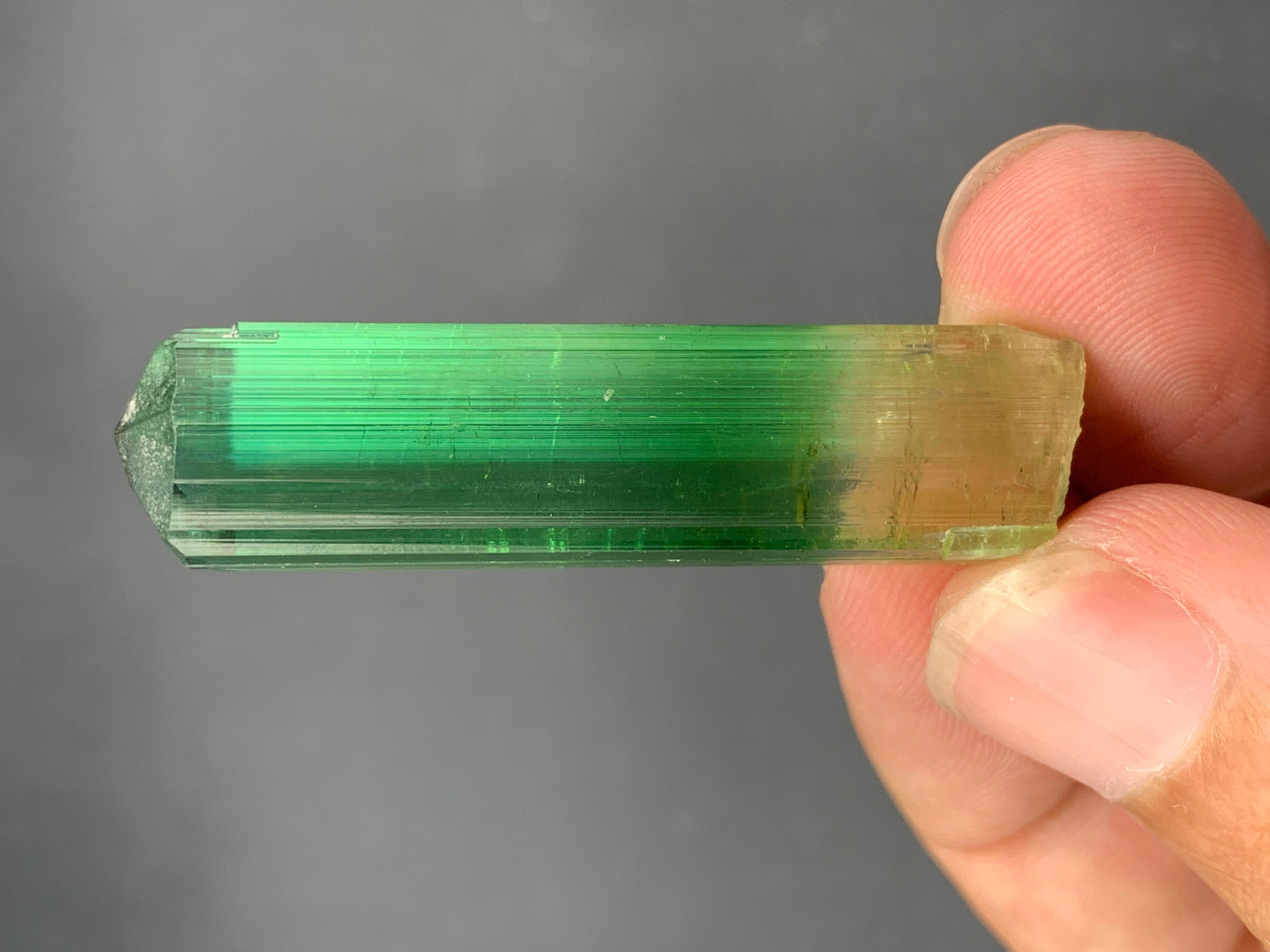 11,60 grammes de tourmaline rose verdâtre naturelle de Paprook Afghanistan en vente 3