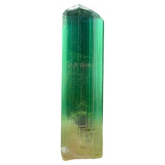 11.60 Gram Natural Greenish Pink Tourmaline Crystal from Paprook Afghanistan