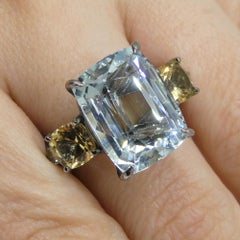 11,67 Karat Aquamarin, Heliodor & Diamant Vine Ring in 14k Schwarzgold gefasst