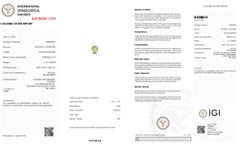 1.16Ct Natural Unheated Yellow Sapphire (6.00x4.97x3.86 mm)- IGI Certified