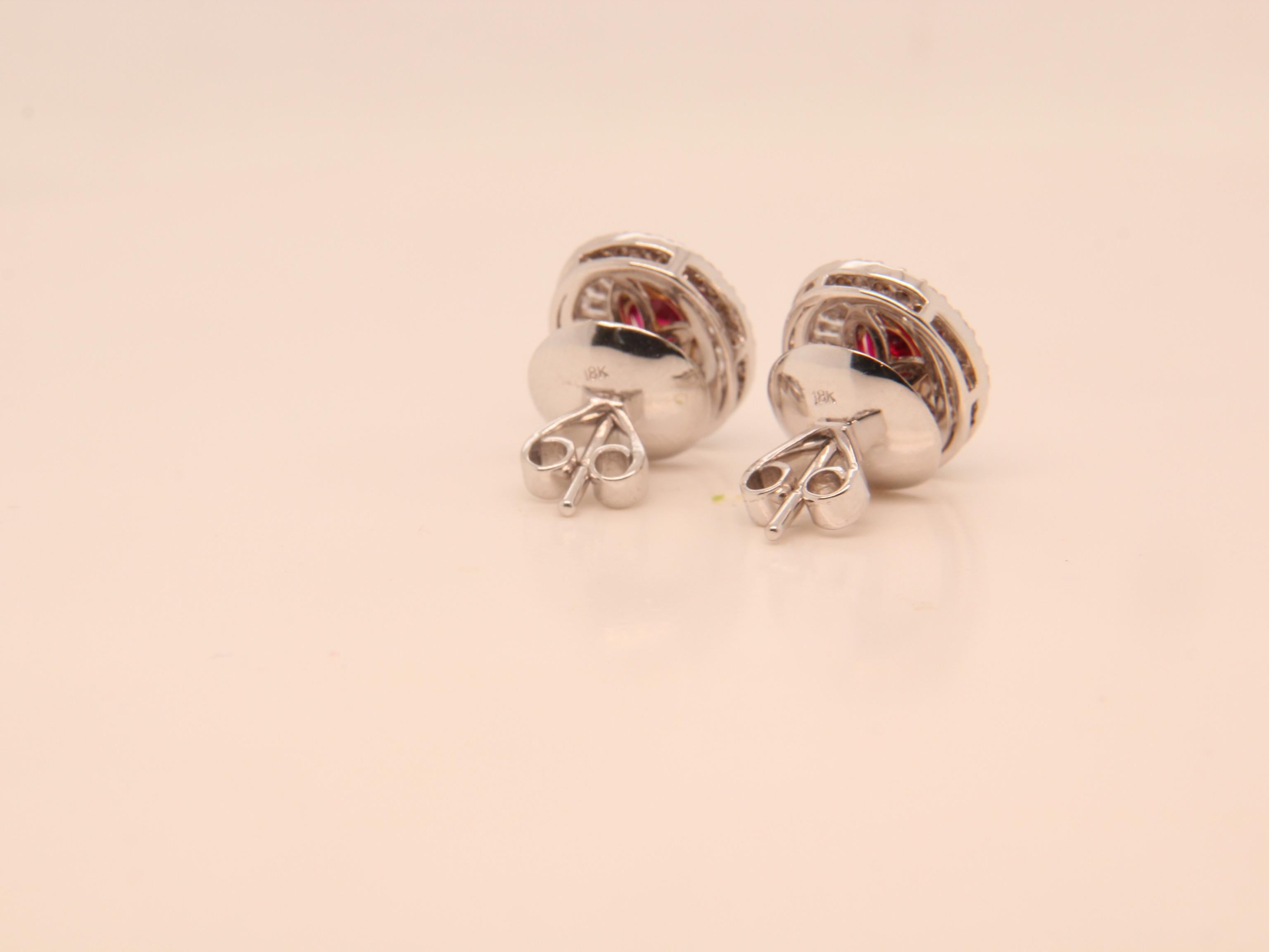 diamond pigeon stud