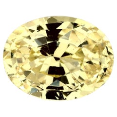 1.17 Ct Yellow Sapphire Oval Loose Gemstone (pierre précieuse en vrac)