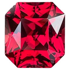 11,74 quilates Granate Rojo Brillante Tallado con Precisión Piedra Preciosa Natural Africana