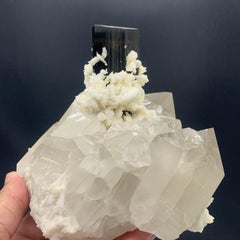 1175.5 Gram Elongated Black Tourmaline Attached In The Middle Of Quartz Bunch