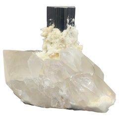 Tourmaline noire allongée attachée au milieu d'un bouleau de quartz 1175,5 grammes 