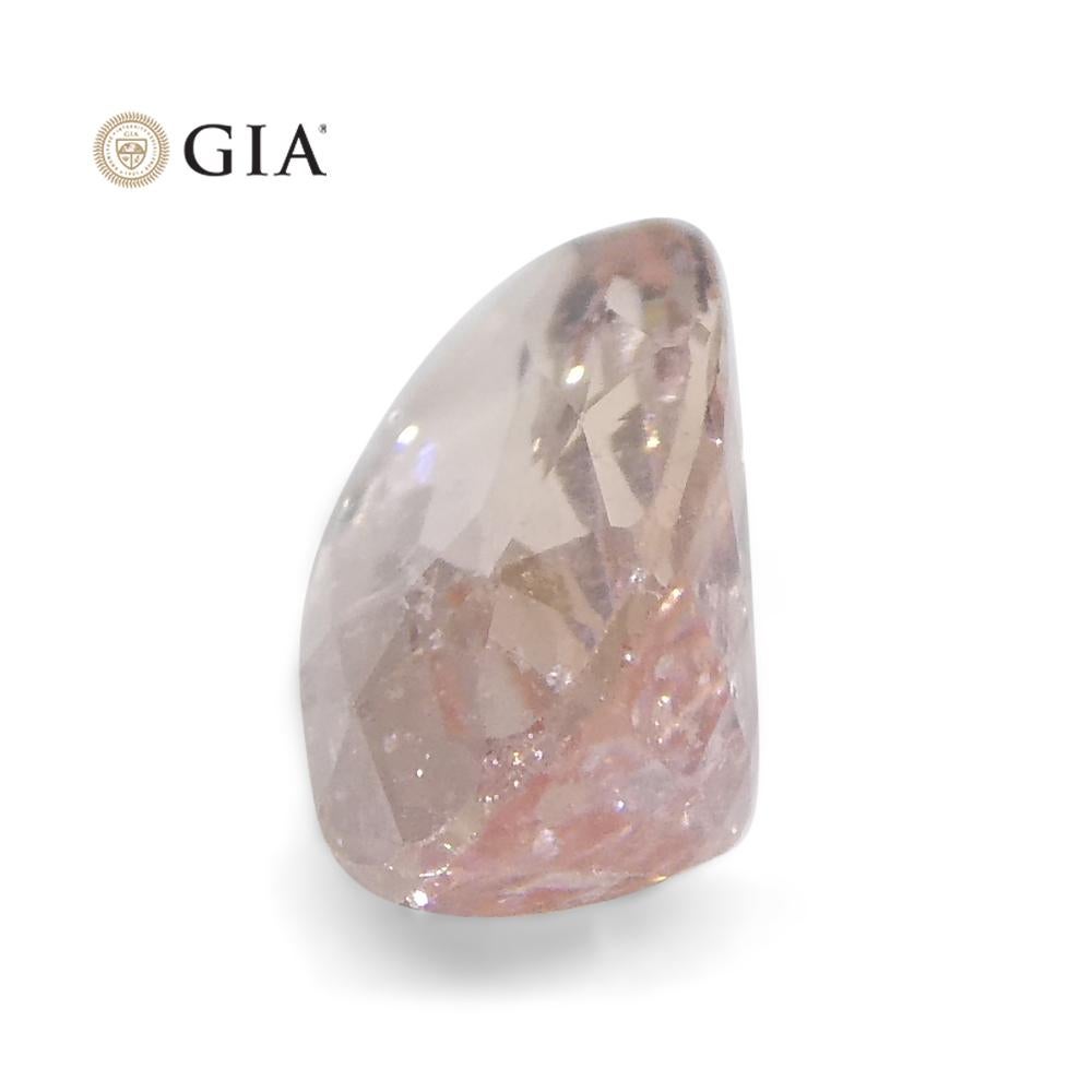 1.17ct Oval Orangy Pink Padparadscha Sapphire GIA Certified Madagascar Unheated For Sale 5