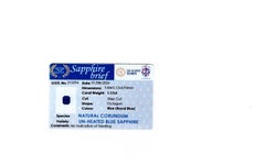 1.17ct Royal Blue Sapphire / Natural sapphire (5.84x5.12x3.93mm)