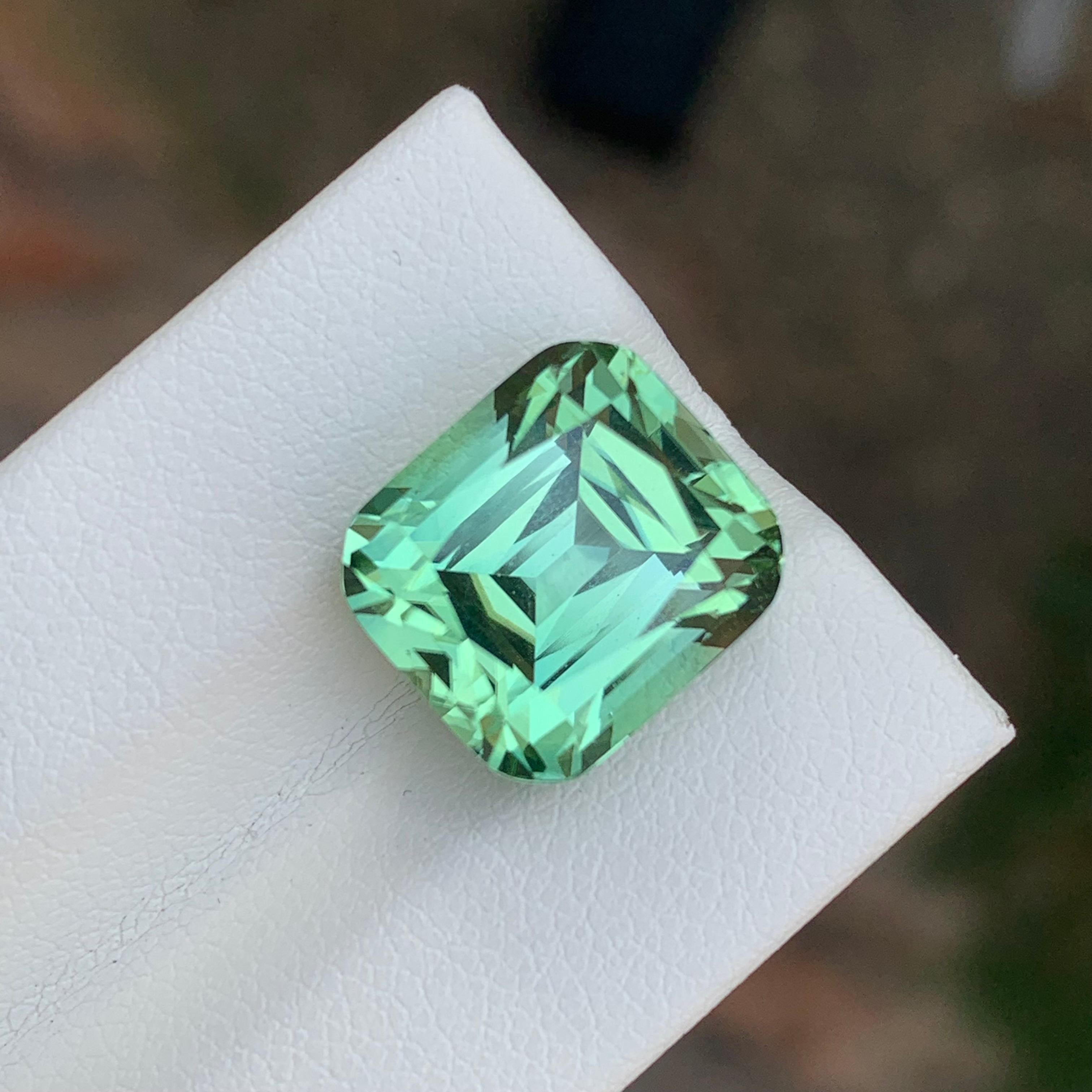 Turmalina verde menta facetada

Peso: 11,80 quilates
Dimensión: 12,6 x 11,3 x 10 Mm
Color Verde Menta 
Tratamiento: No
Certificado: A petición del cliente
Forma: Cojín


La turmalina es una piedra preciosa cautivadora conocida por su notable