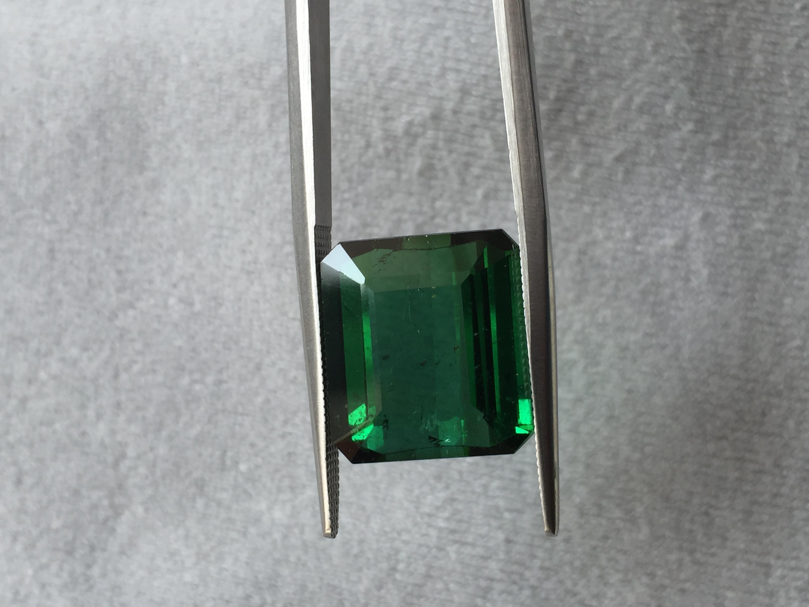 11.86 Carat Green Tourmaline Octagon Cut for Fine Jewellery For Sale 7
