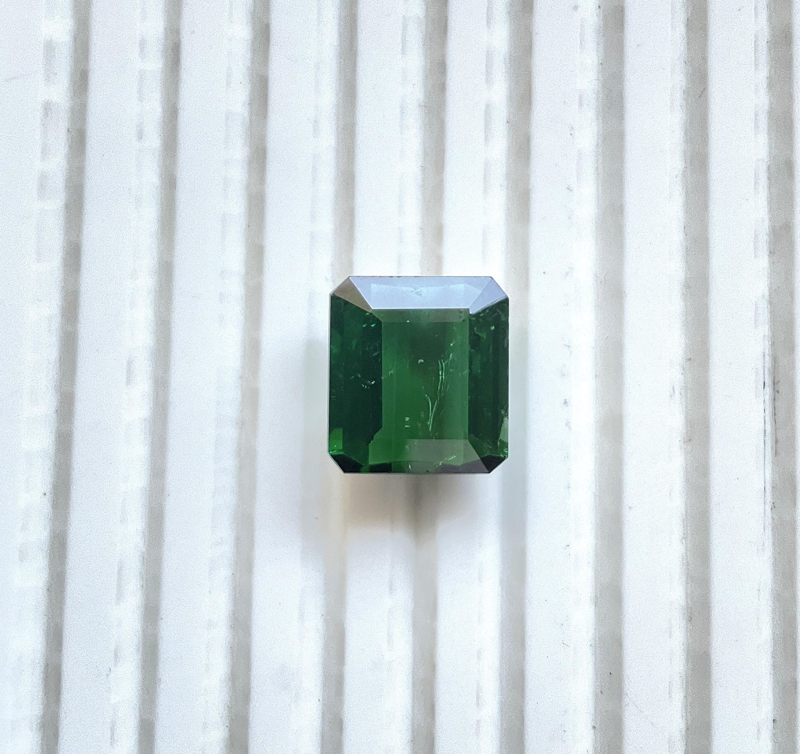 11.86 carats Nigeria green tourmaline Top Quality Octagon Cut stone natural Gem For Sale 5