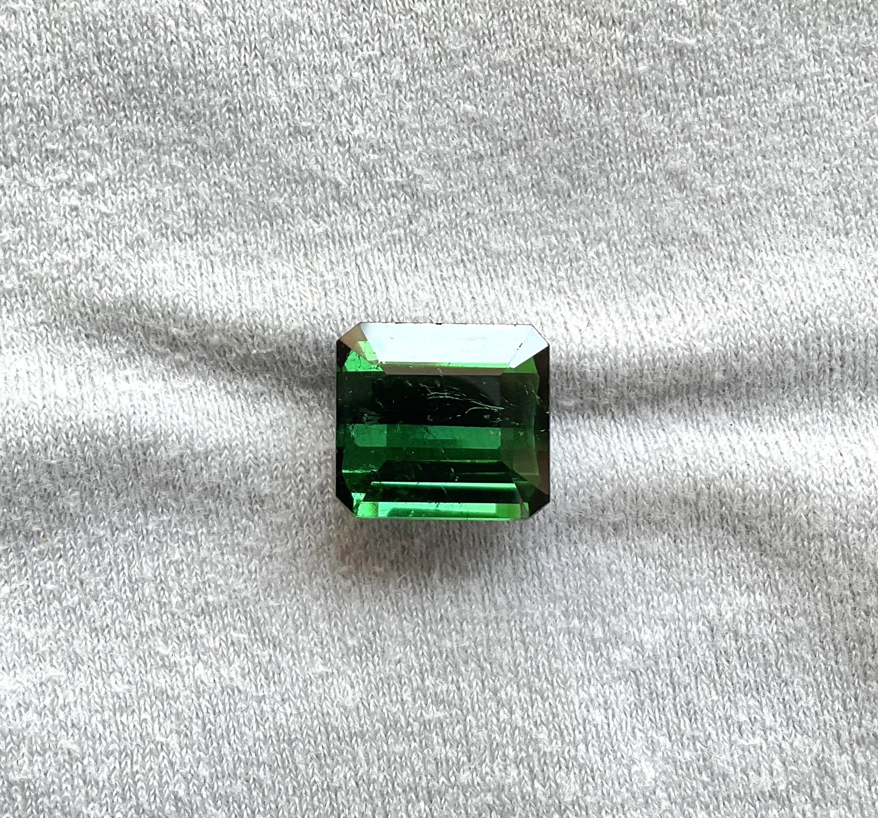 11.86 carats Nigeria green tourmaline Top Quality Octagon Cut stone natural Gem In New Condition For Sale In Jaipur, RJ