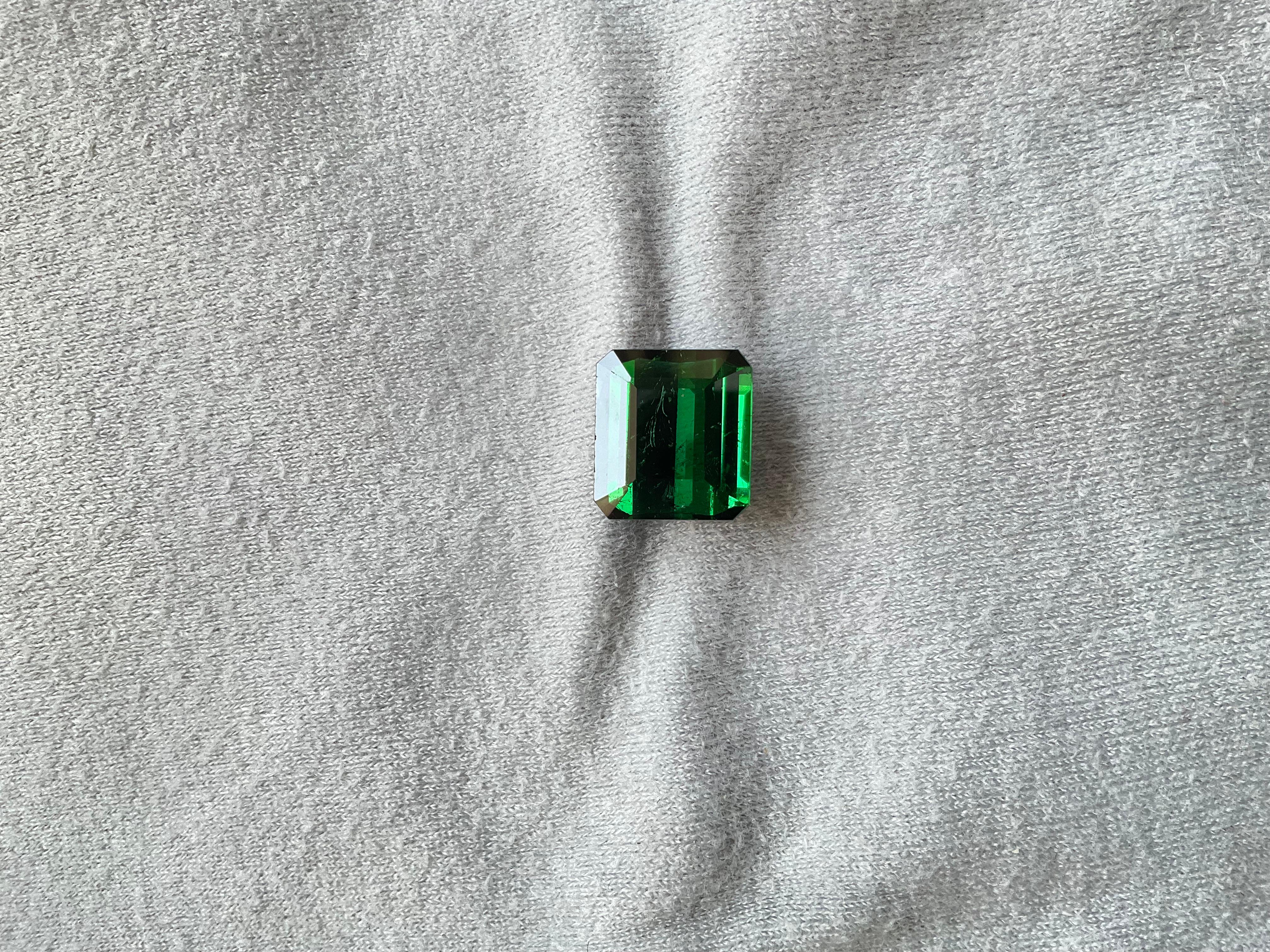Women's or Men's 11.86 carats Nigeria green tourmaline Top Quality Octagon Cut stone natural Gem For Sale