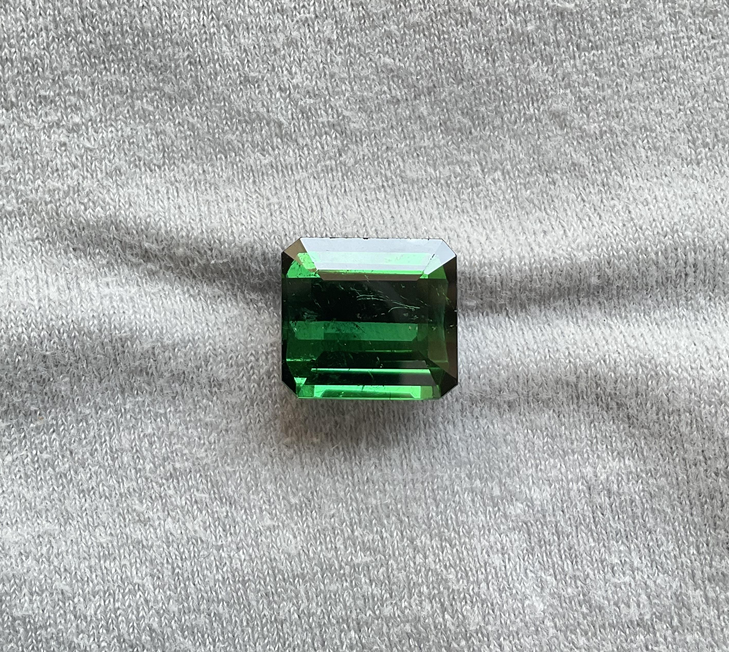 11.86 carats Nigeria green tourmaline Top Quality Octagon Cut stone natural Gem For Sale 1