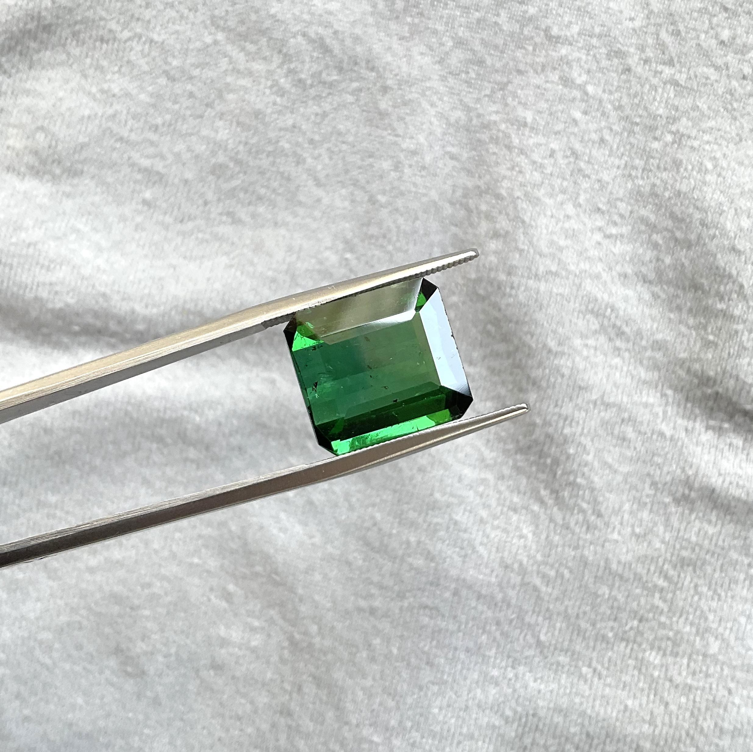 11.86 carats Nigeria green tourmaline Top Quality Octagon Cut stone natural Gem For Sale 2