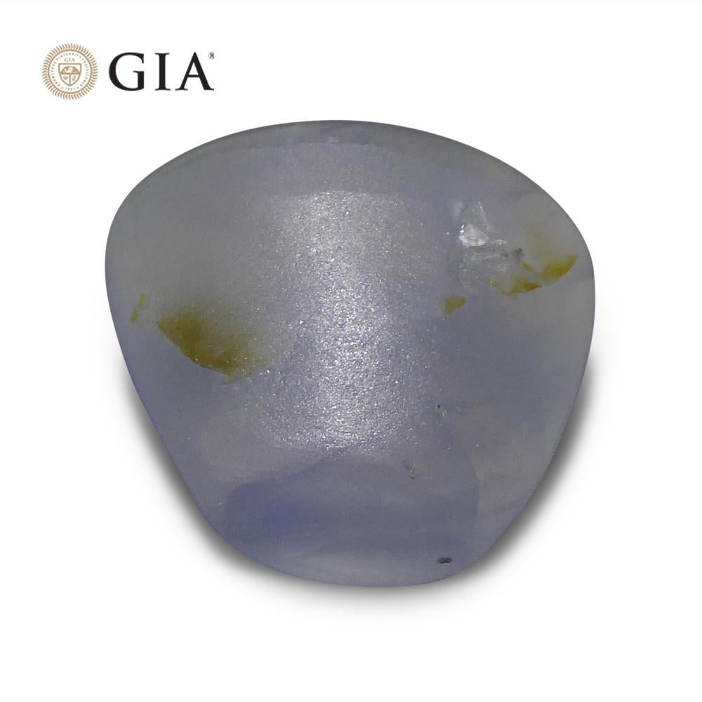 Saphir bleu étoilé cabochon ovale 11.99 carats certifié GIA    en vente 4