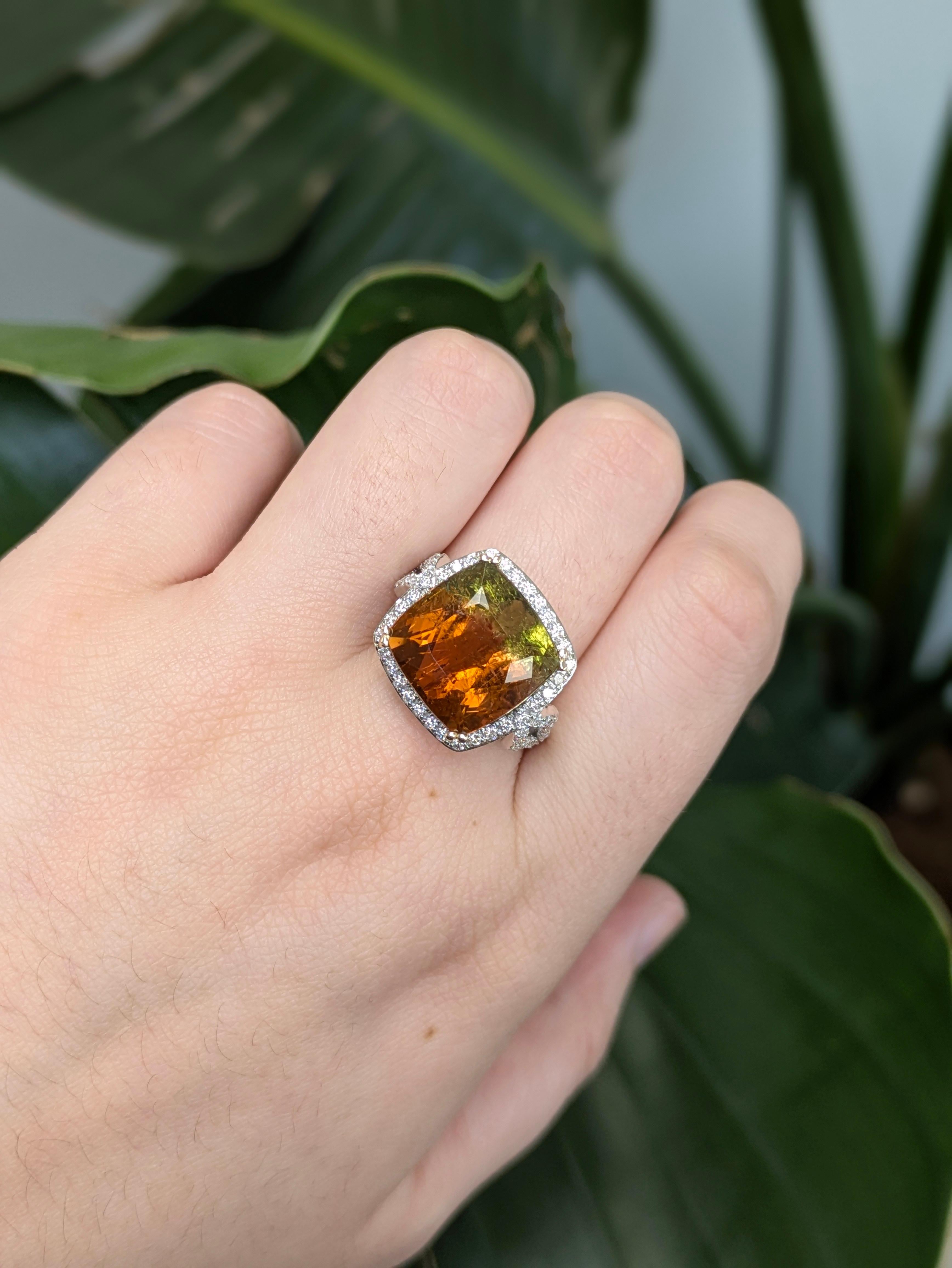 Este llamativo anillo presenta una impresionante turmalina bicolor de Brasil de talla cojín de 11,3 ct, que mide 13 mm y muestra una cautivadora zonación de color natural. Engastado en 5,79 g de oro doble de 14k, está acentuado con 64 brillantes