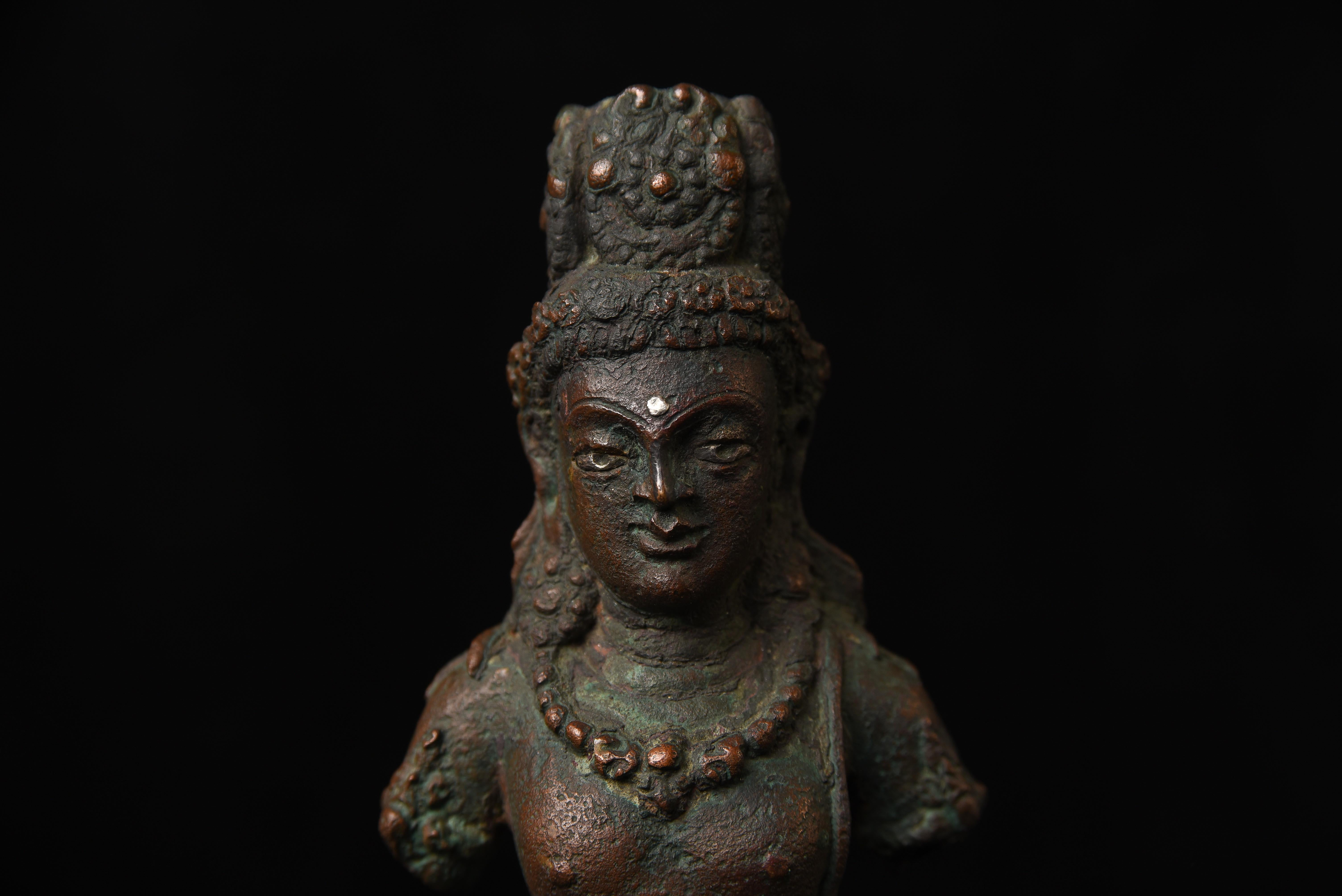 11th century West Tibetan bronze bodhisattva with Silver Inlays. For Sale 5