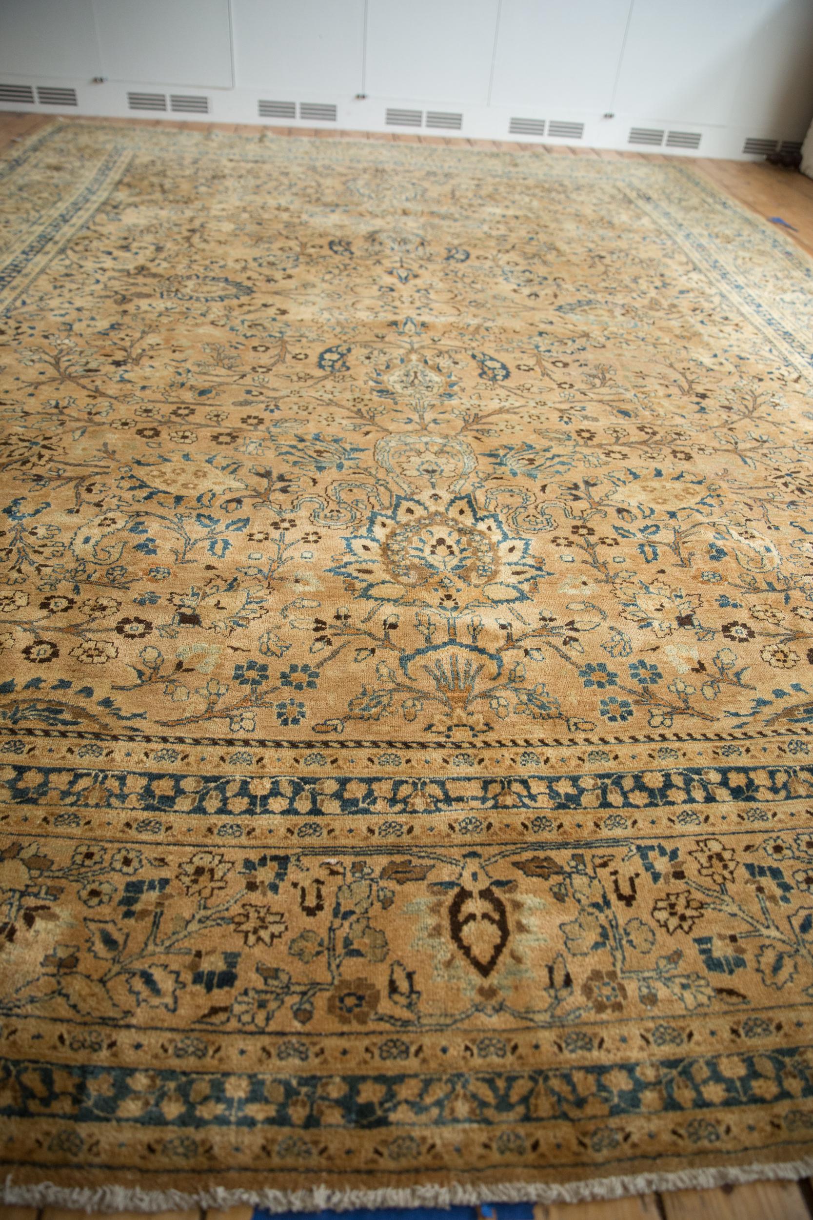 Hand-Knotted Vintage Distressed Meshed Carpet For Sale