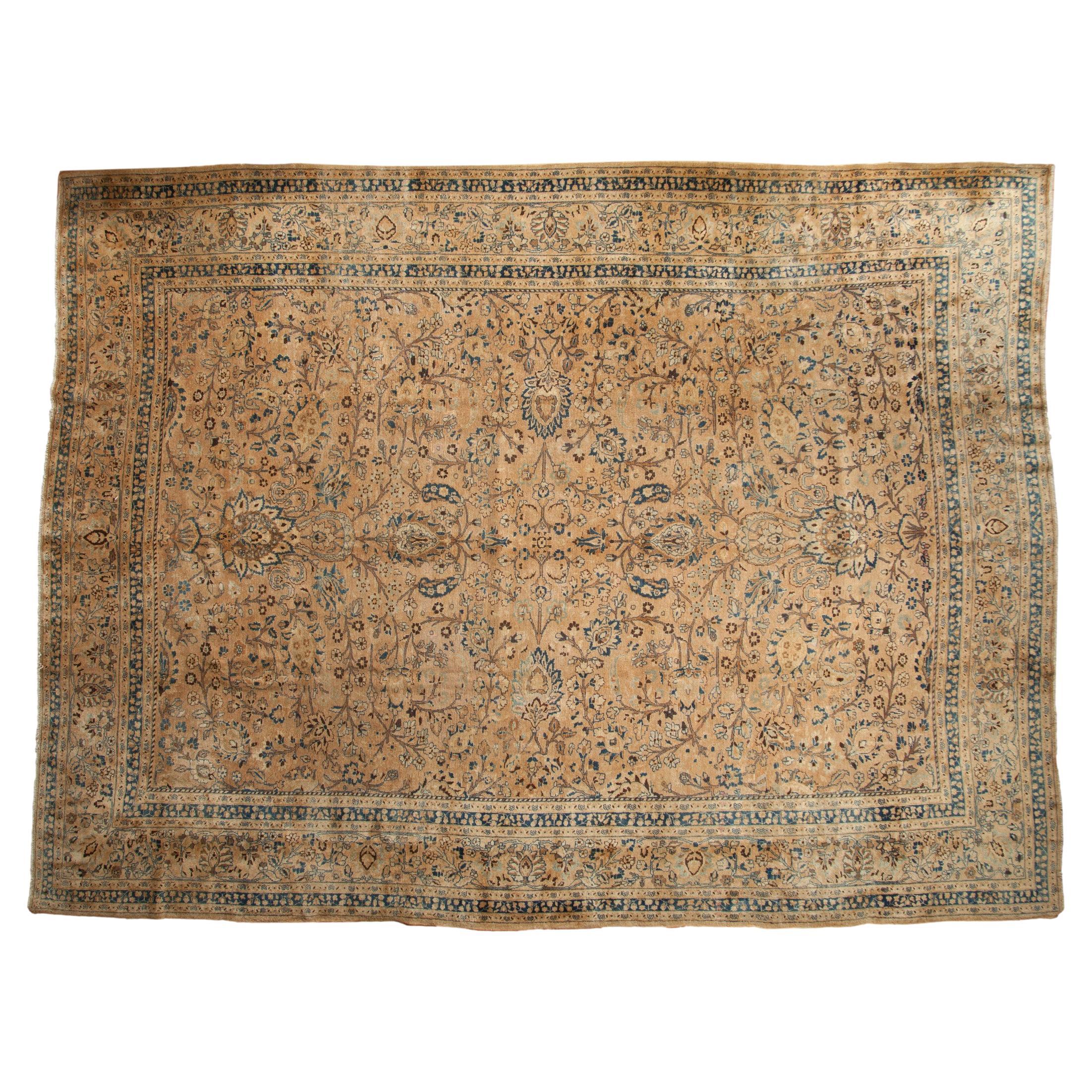 Vintage Distressed Meshed Carpet