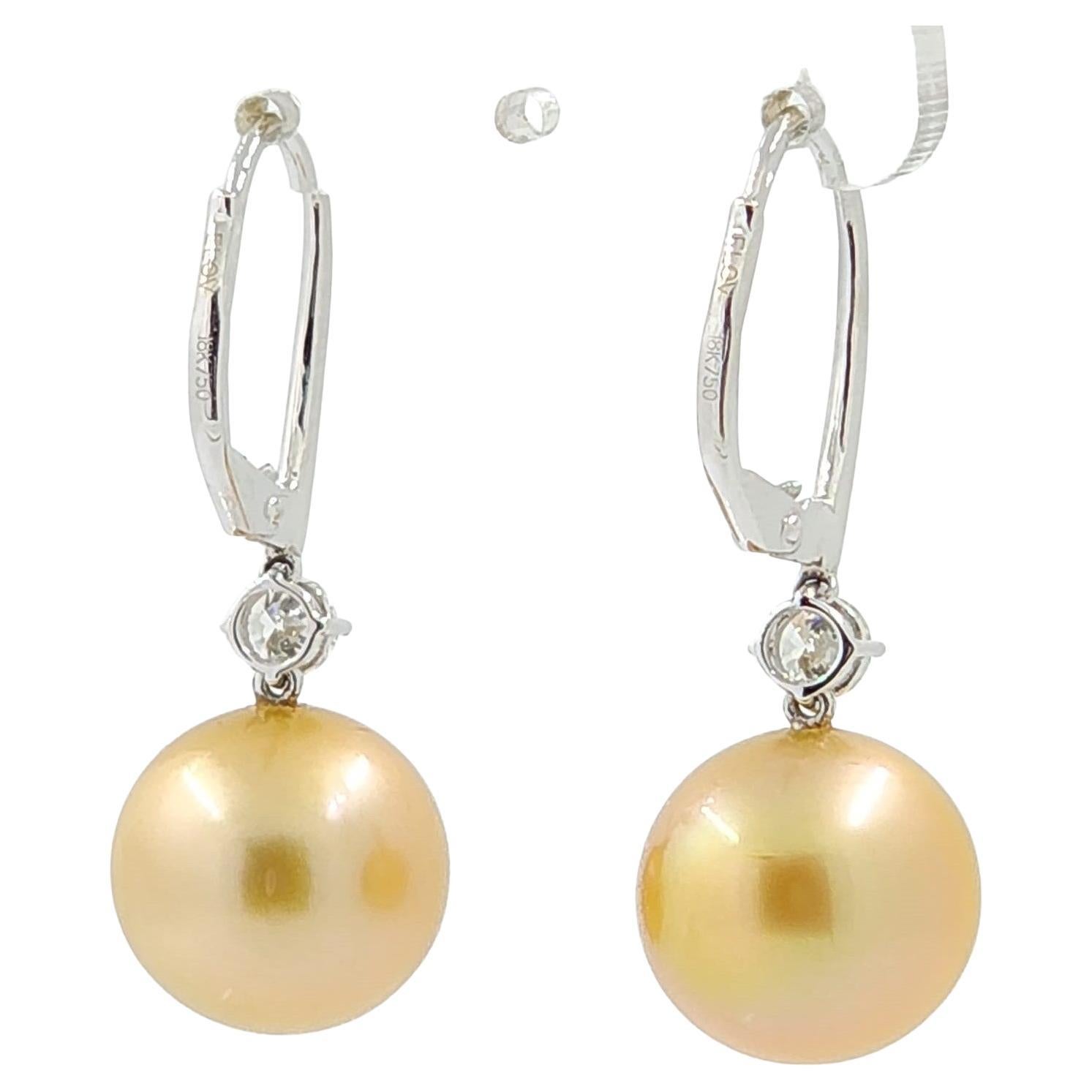 Concediti il lusso con questi incantevoli orecchini a goccia, che presentano due squisite perle dei mari del sud color champagne da 12-12,5 mm. Rinomate per la loro calda lucentezza dorata che evoca il sottile scintillio dello champagne, queste